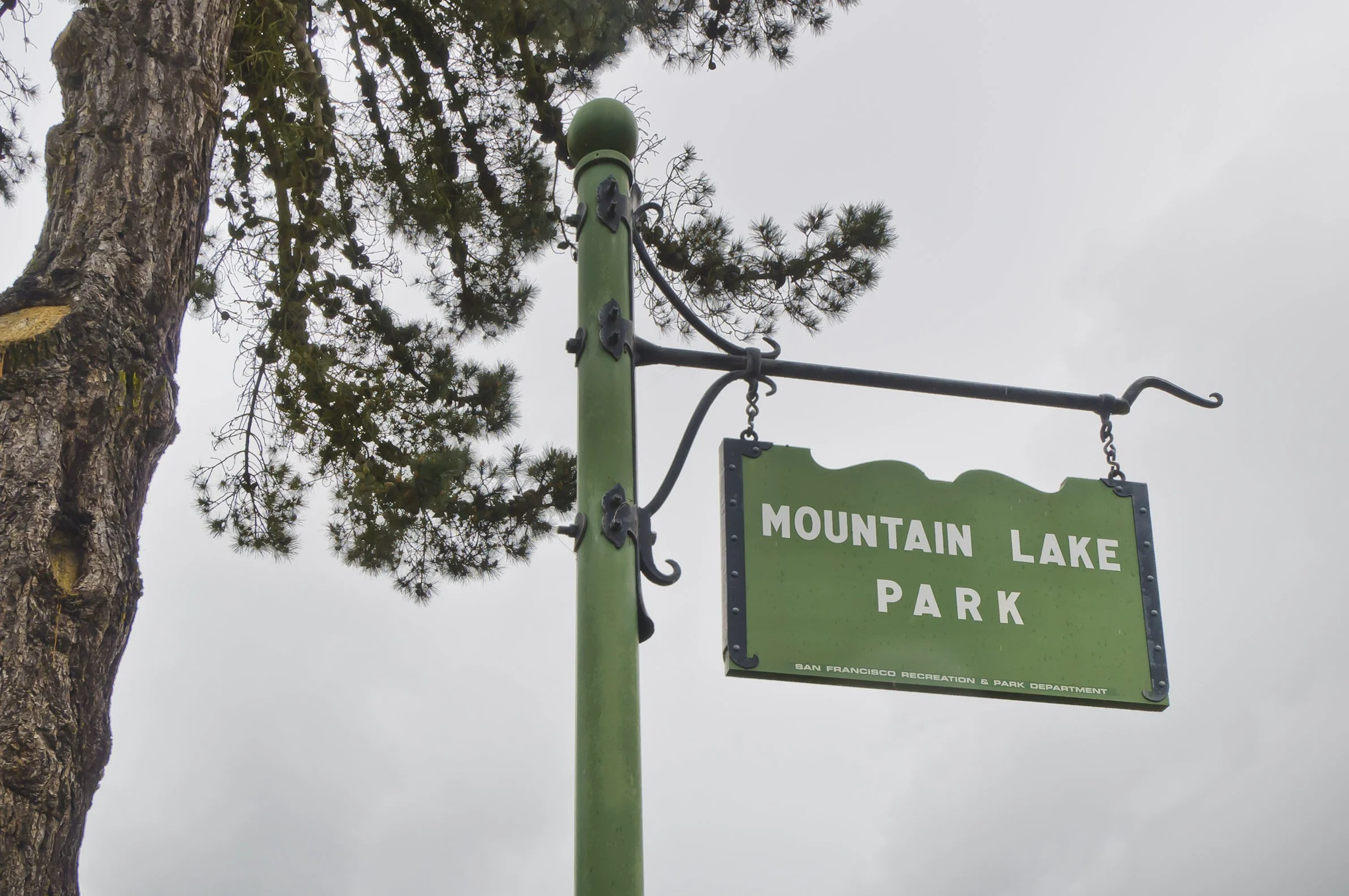 Green signboard reading 'Mountain Lake Park' attached to a black metal pole, with a large tree in the background and an overcast sky.