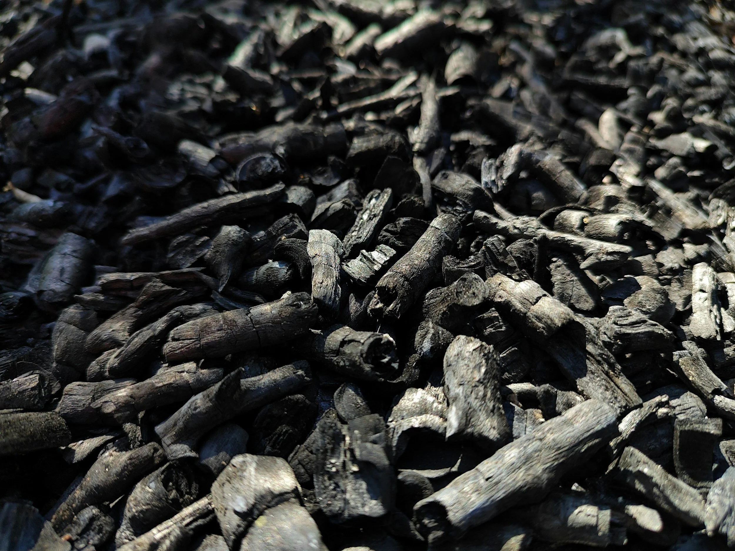 Close-up of a large pile of blackened, charred wood pieces.