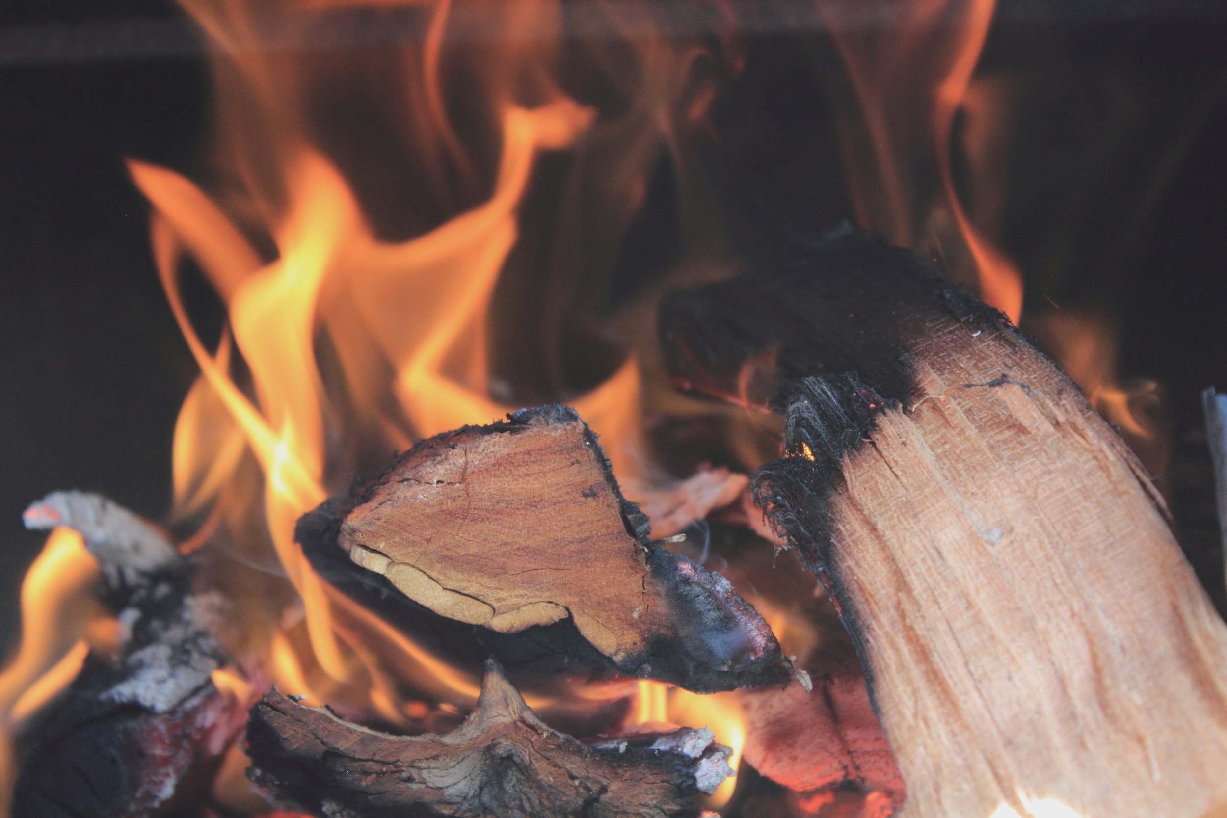 Close-up of burning logs with flames and glowing embers.