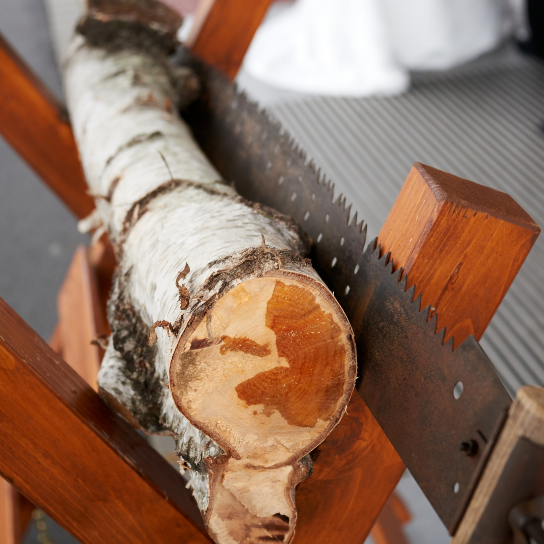 A wooden and metal saw is cutting through a log of birch with white bark and visible wood grain, positioned on a wooden sawhorse.
