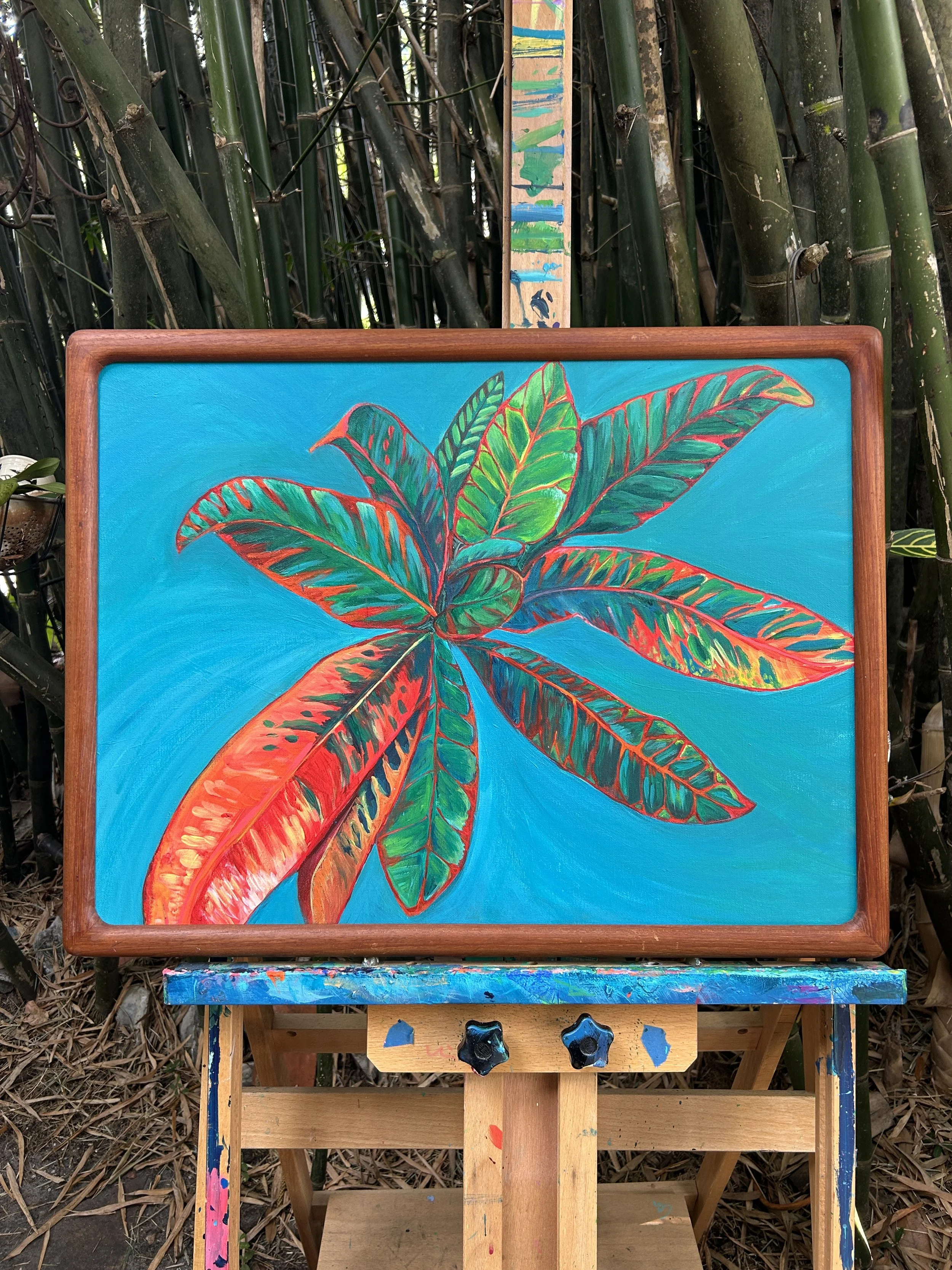 Croton