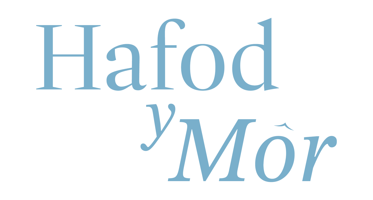 Hafod y Môr