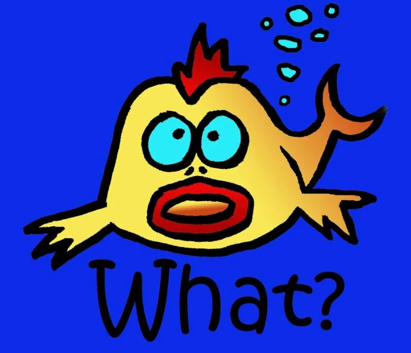 Summer Leadership Series Challenge #1: The Guppy Syndrome