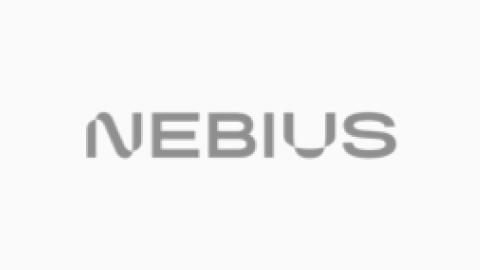 The word 'NEBIUS' written in gray uppercase letters on a white background.