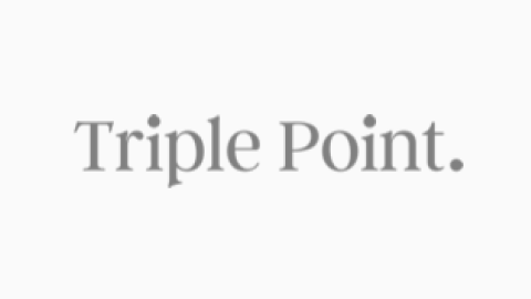 The text 'Triple Point.' appears on a white background.
