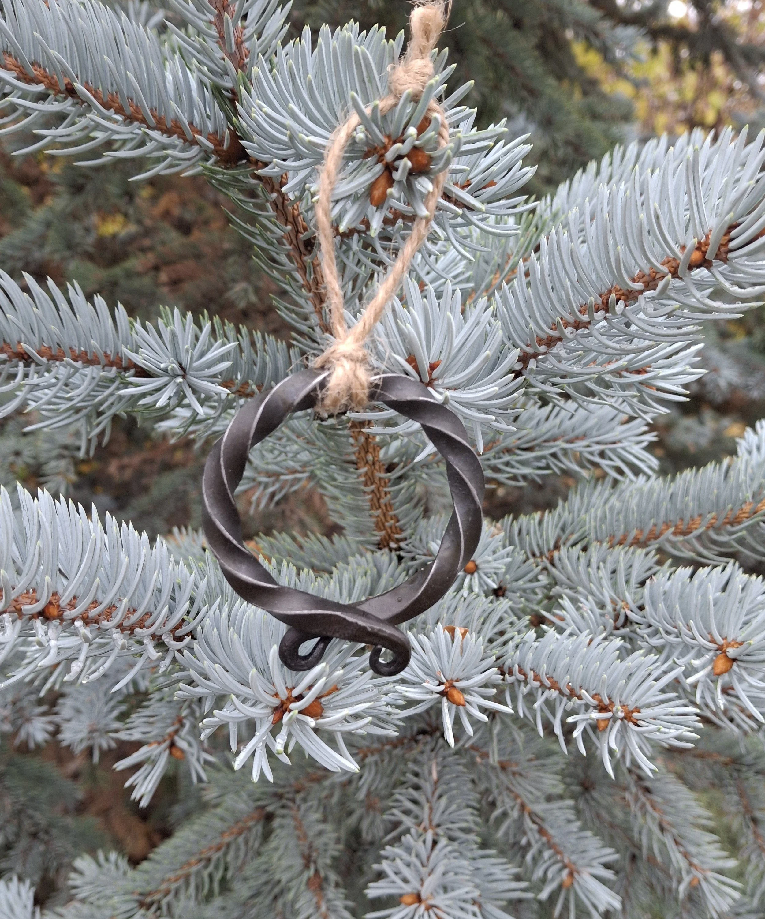 Close-up of blue spruce branches with silvery-blue needles and a metal snowflake ornament hanging from a piece of string.