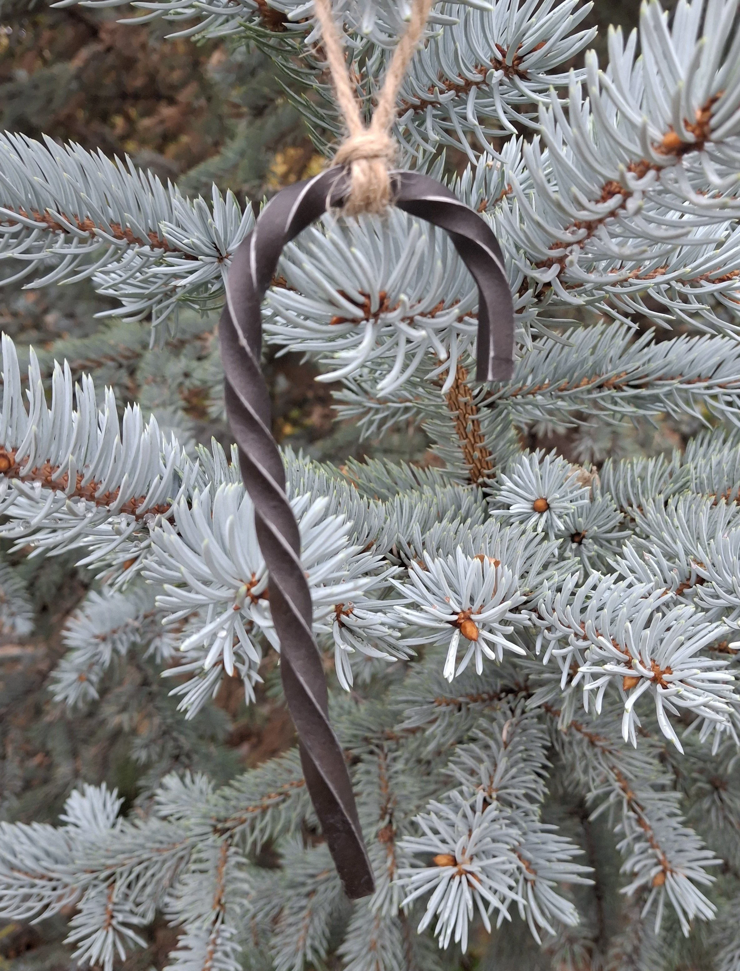 A close-up of blue Colorado spruce tree branches with a black metal heart-shaped ornament hanging on a beige string among the bluish-green needles.