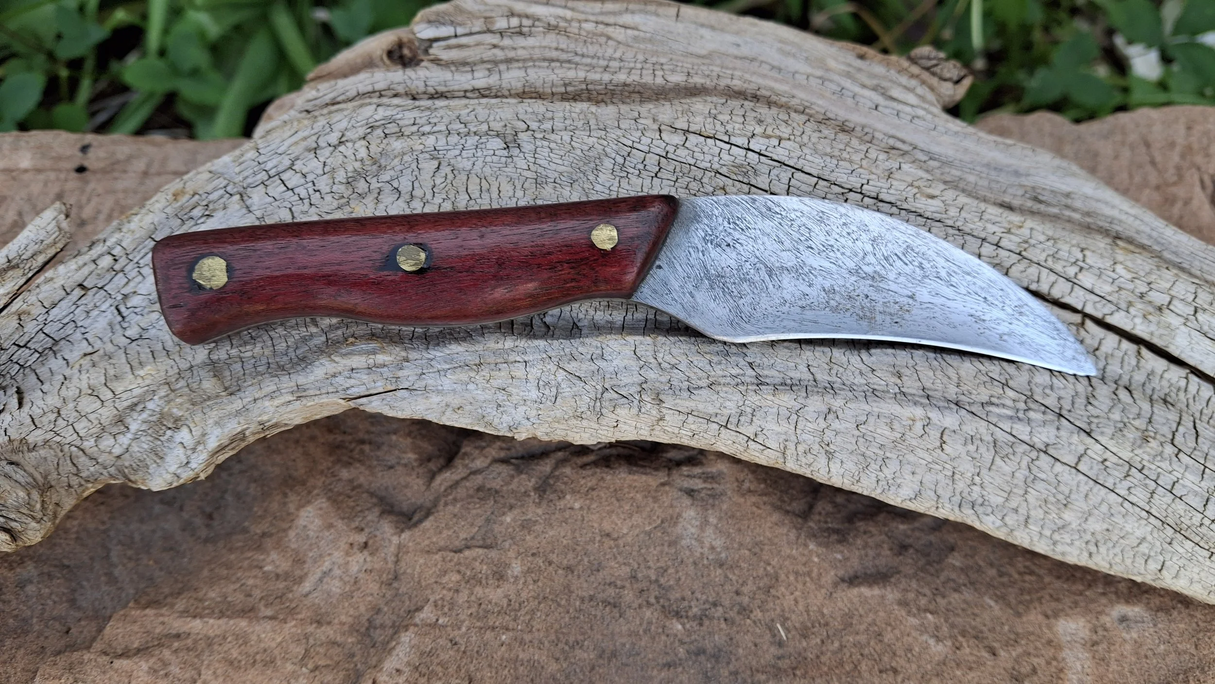 A folding pocket knife with a red-brown wooden handle and a slightly curved silver blade, resting on a piece of weathered, cracked white wood surrounded by green grass.