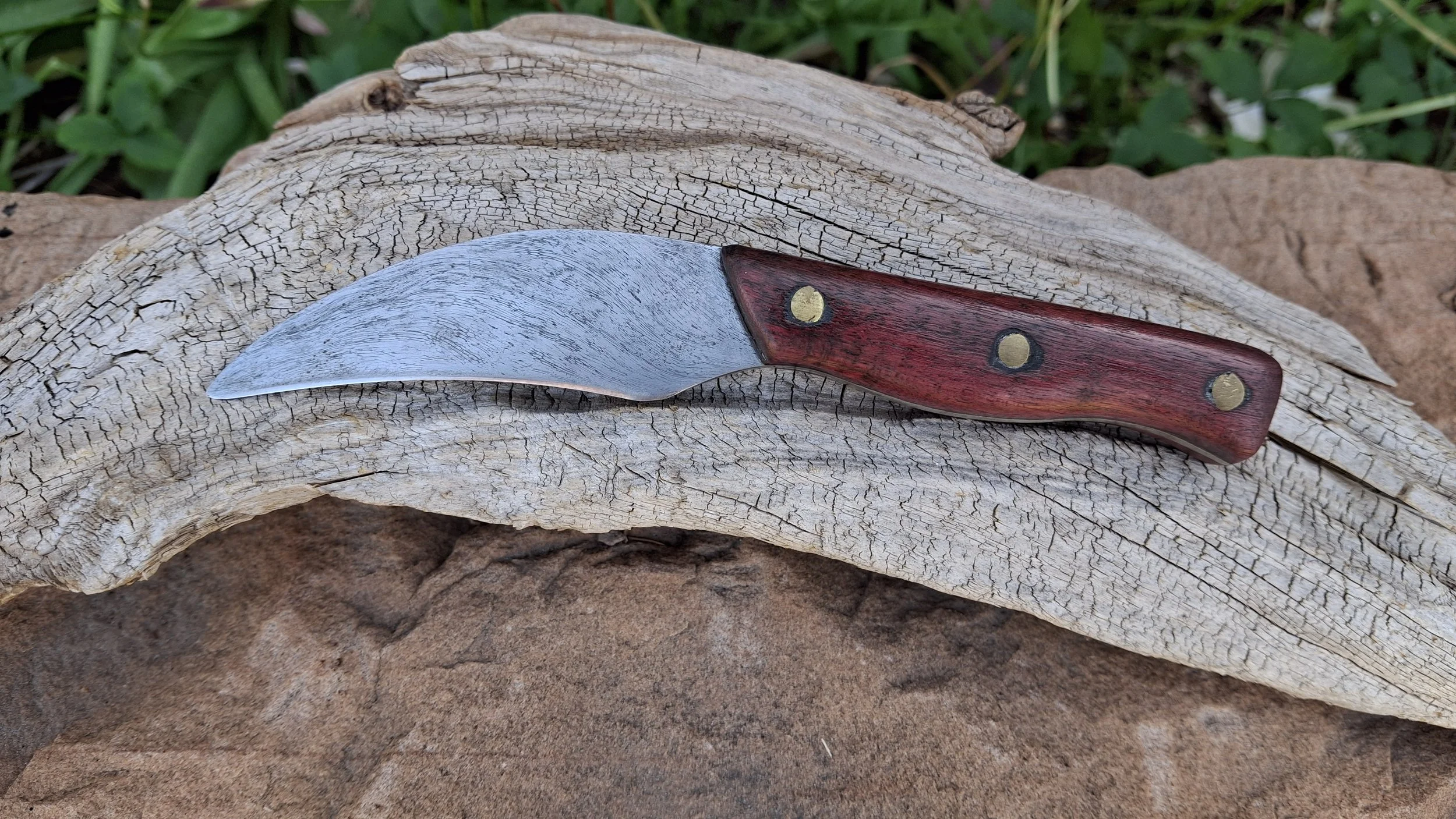 A curved knife with a stainless steel blade and a wooden handle with brass rivets, placed on a piece of weathered wood in an outdoor setting.