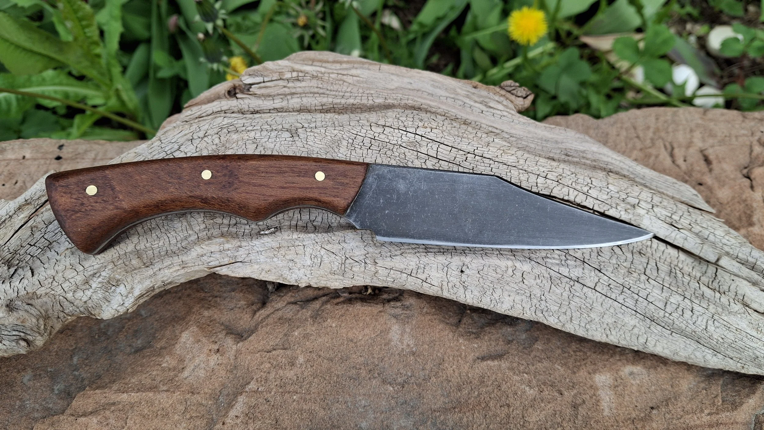 A kitchen knife with a wooden handle rests on a piece of weathered driftwood with green plants and yellow flowers in the background.