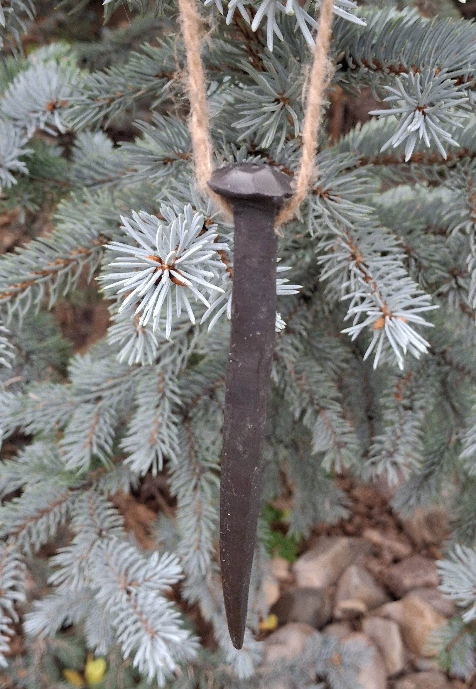 A close-up of a metal nail and a piece of string hanging in front of blue-green pine needles.