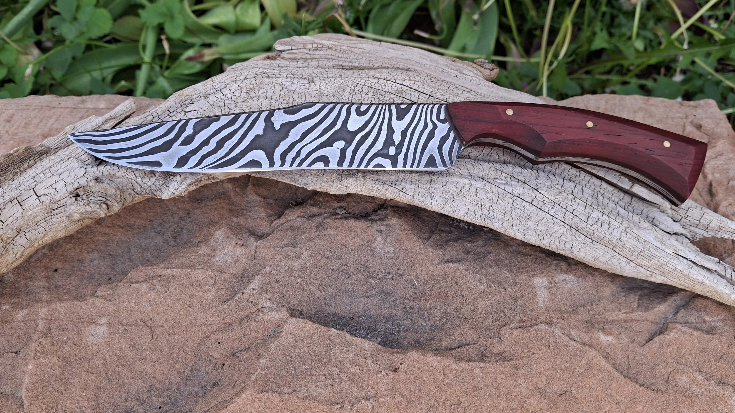 Knife with zebra-striped blade and red wooden handle resting on a weathered piece of wood surrounded by green foliage.