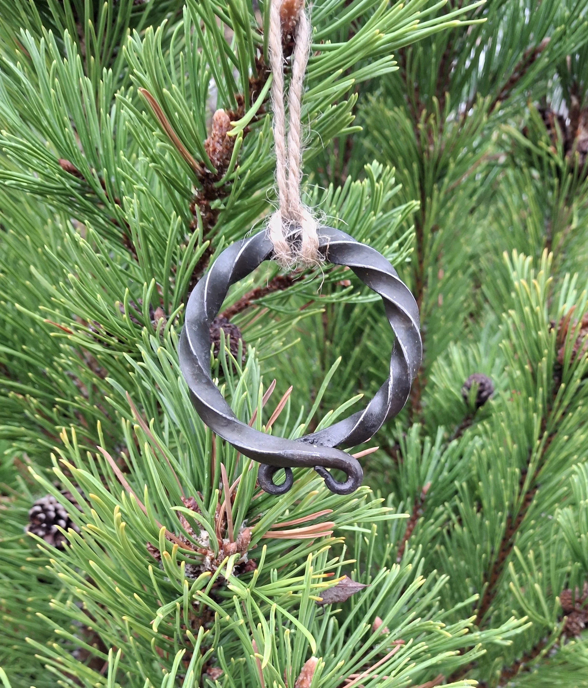 A close-up of a tree branch with green pine needles, pinecones, and a metallic ornament hanging from a rope.