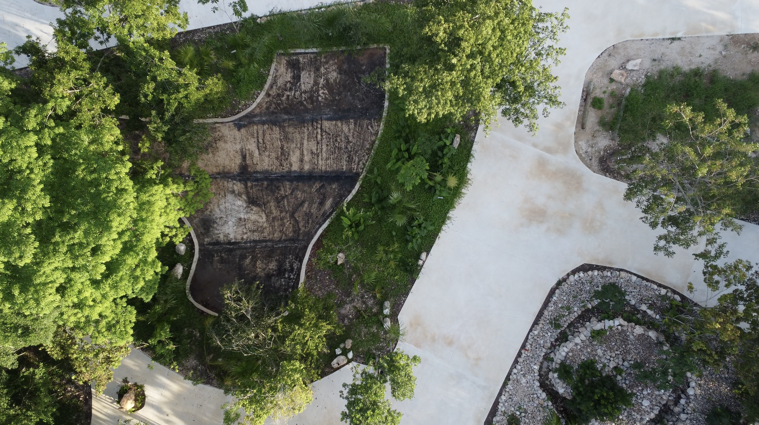 DJI_0729.jpg
