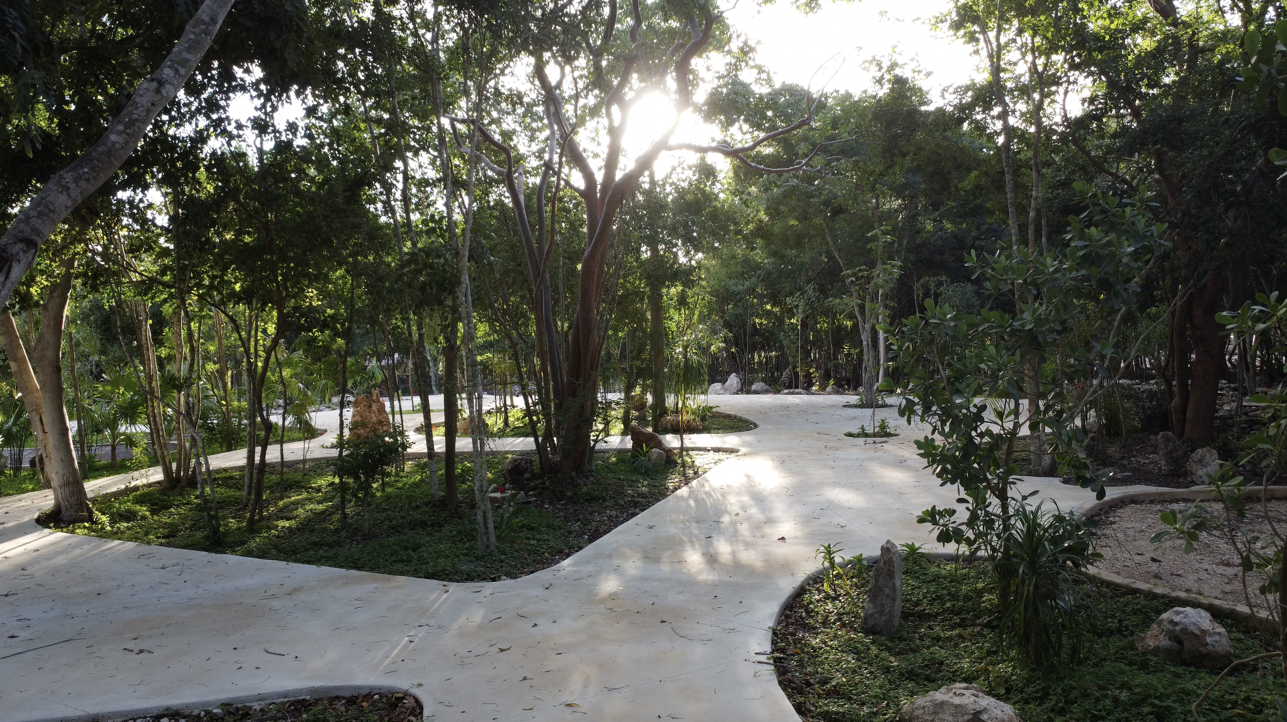 DJI_0732.jpg