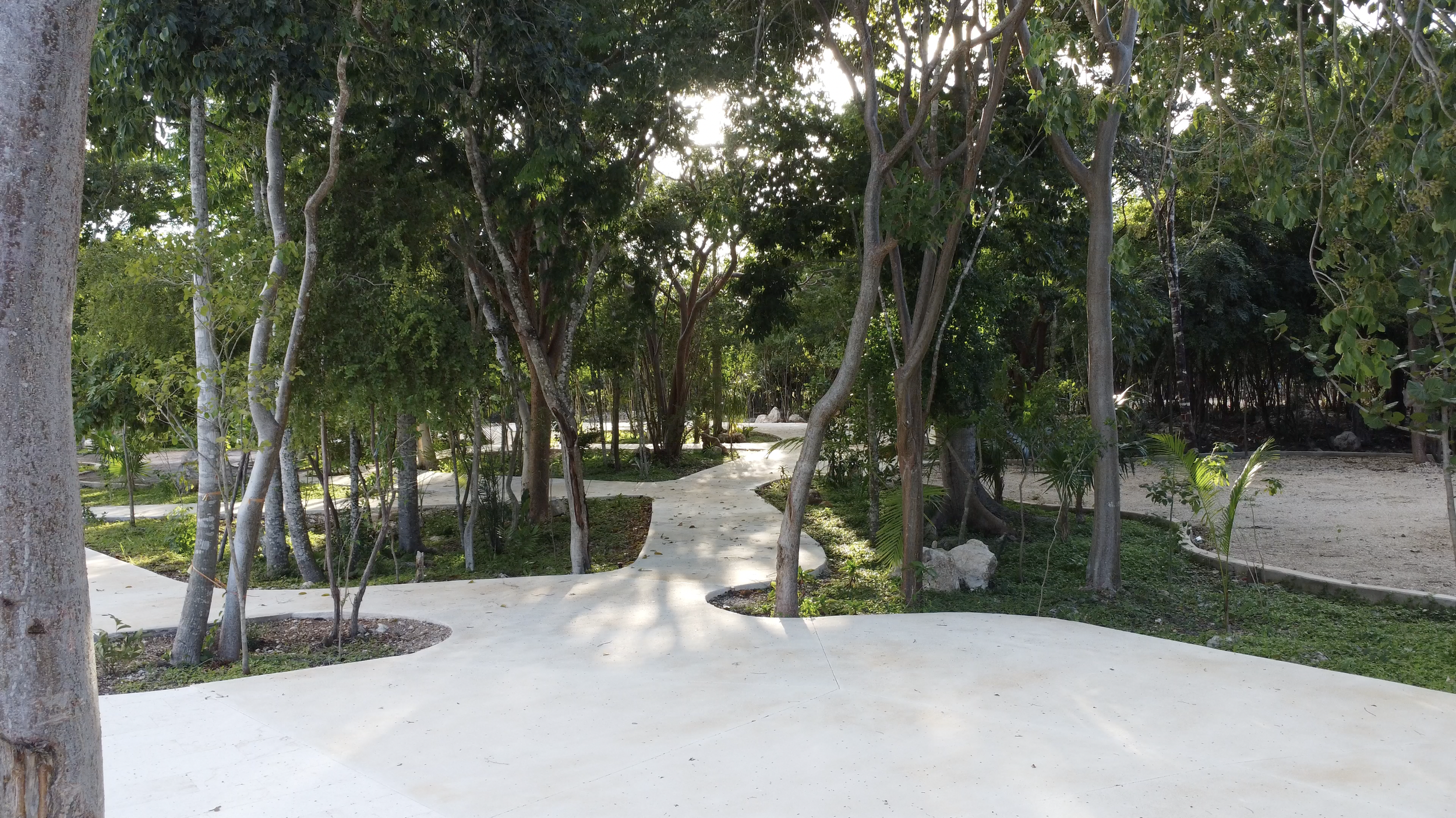 DJI_0734.jpg