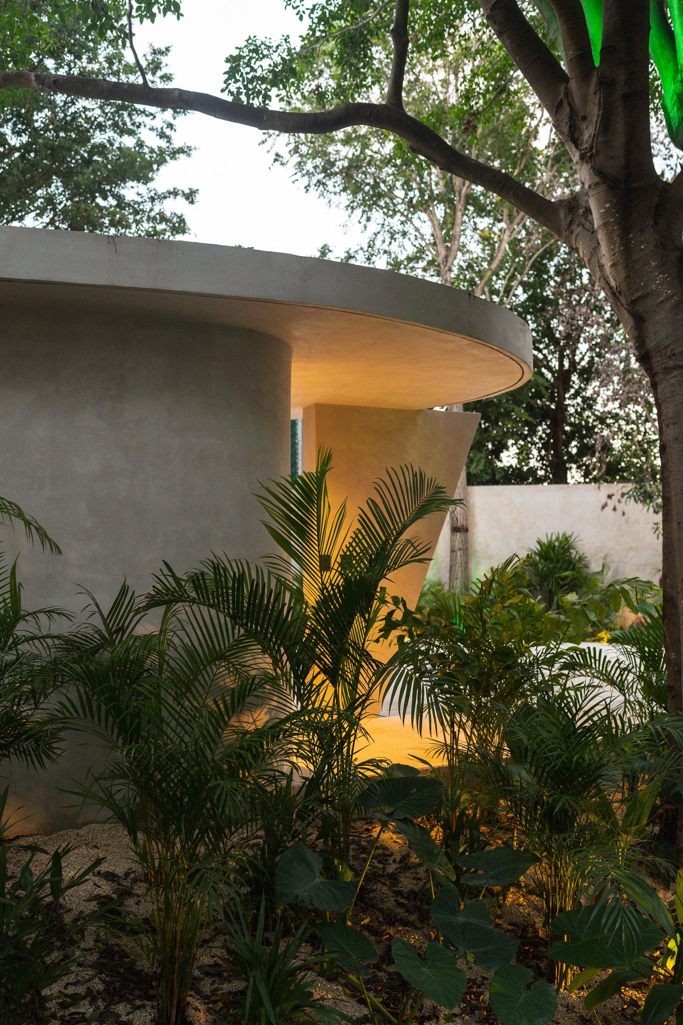 TERRAZA VIVIENTE