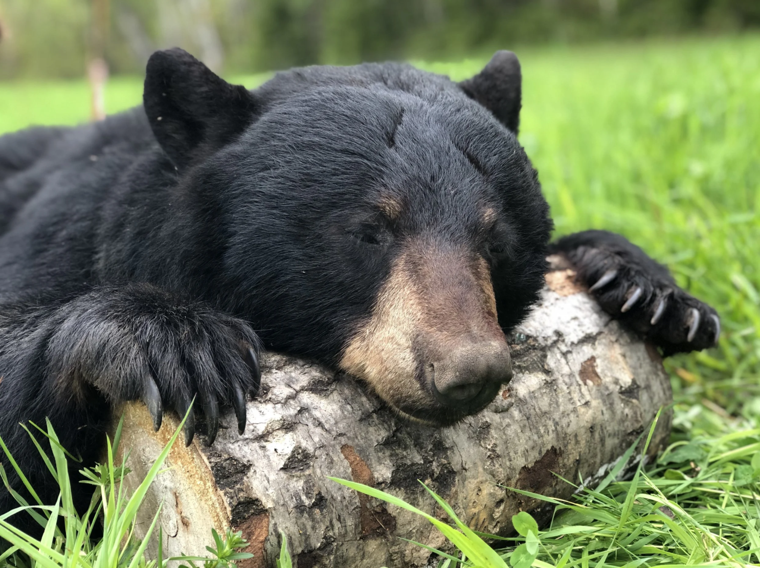 Screenshot 2026-04-14 at 8.55.55 PM.png