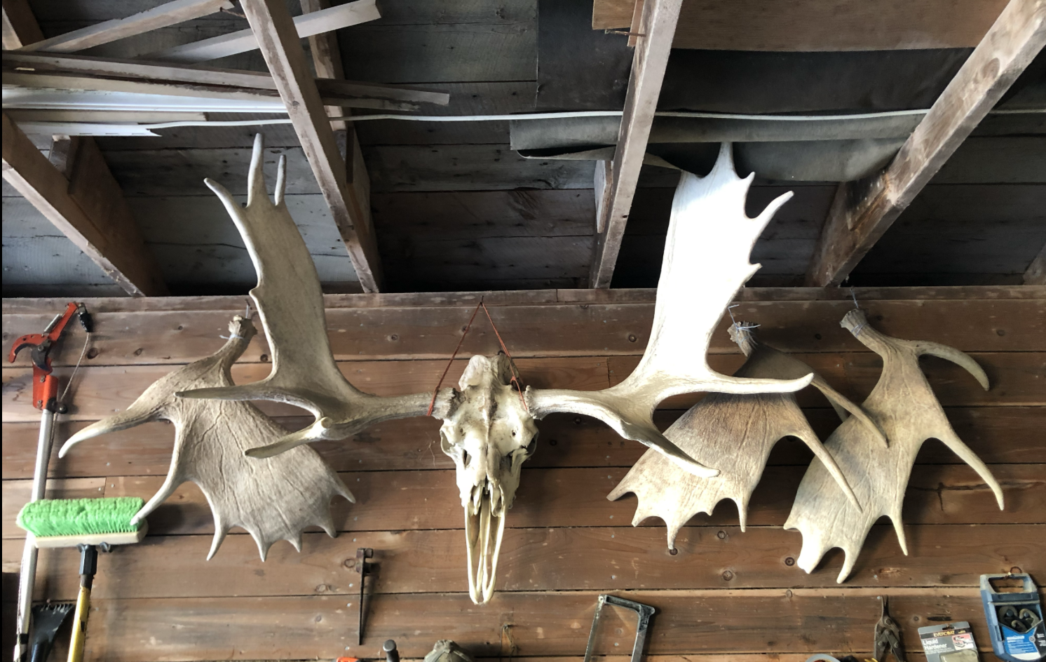 Screenshot 2026-04-14 at 8.59.08 PM.png