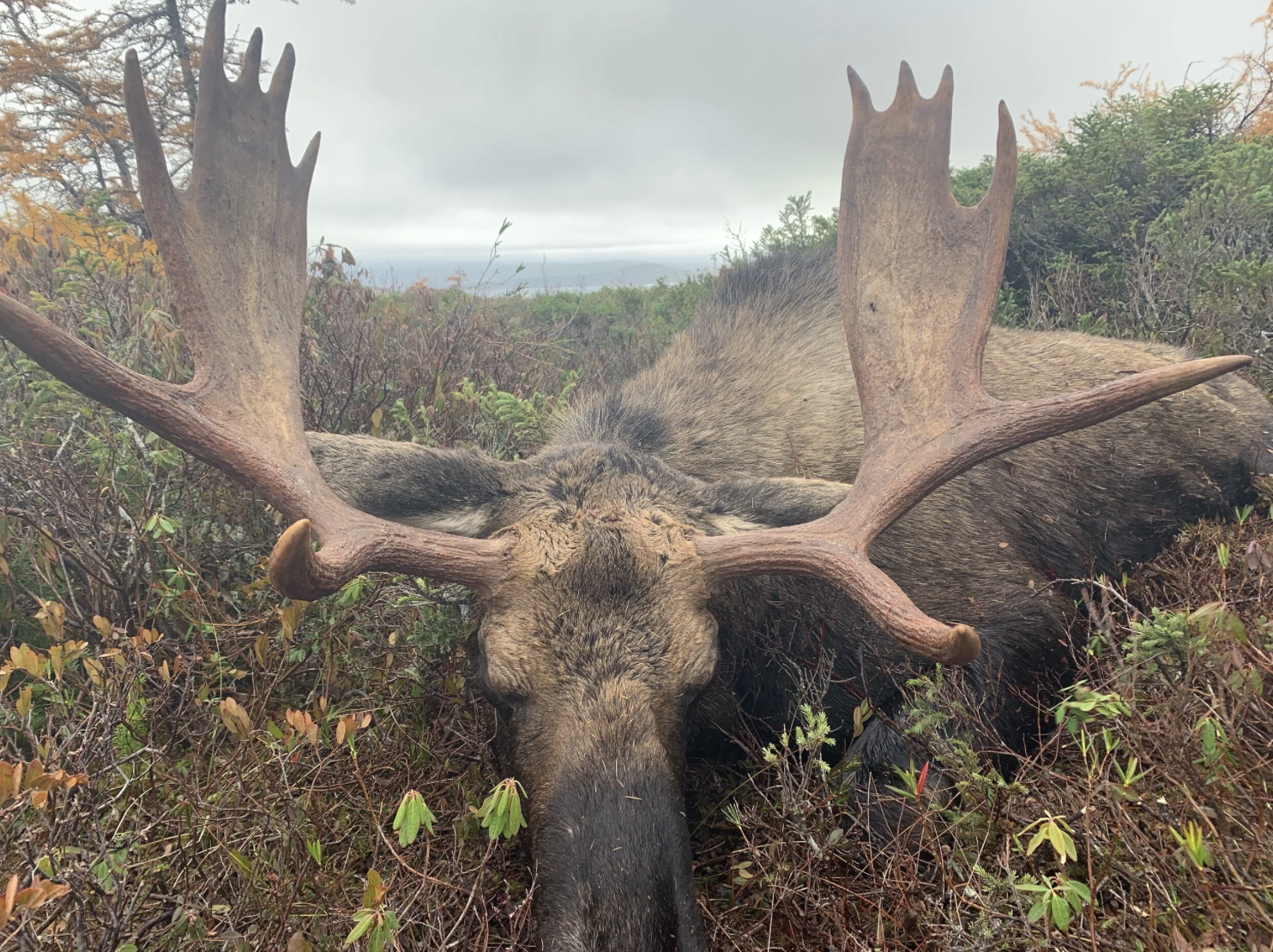 Screenshot 2026-04-14 at 8.59.26 PM.png