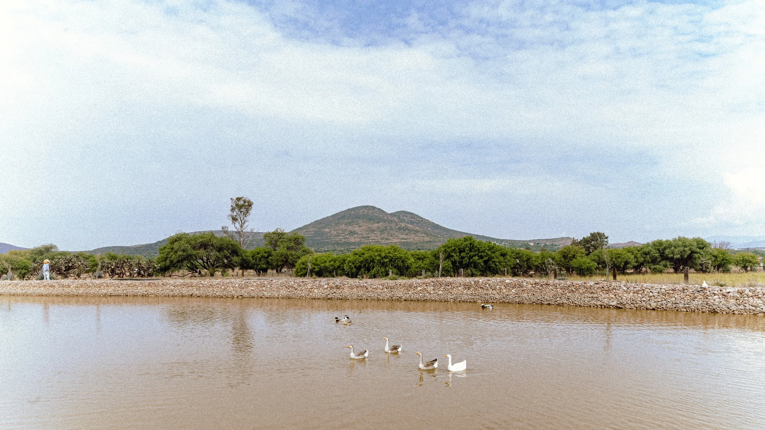 BL_MARZO_RECONOCIMIENTO-7.jpg