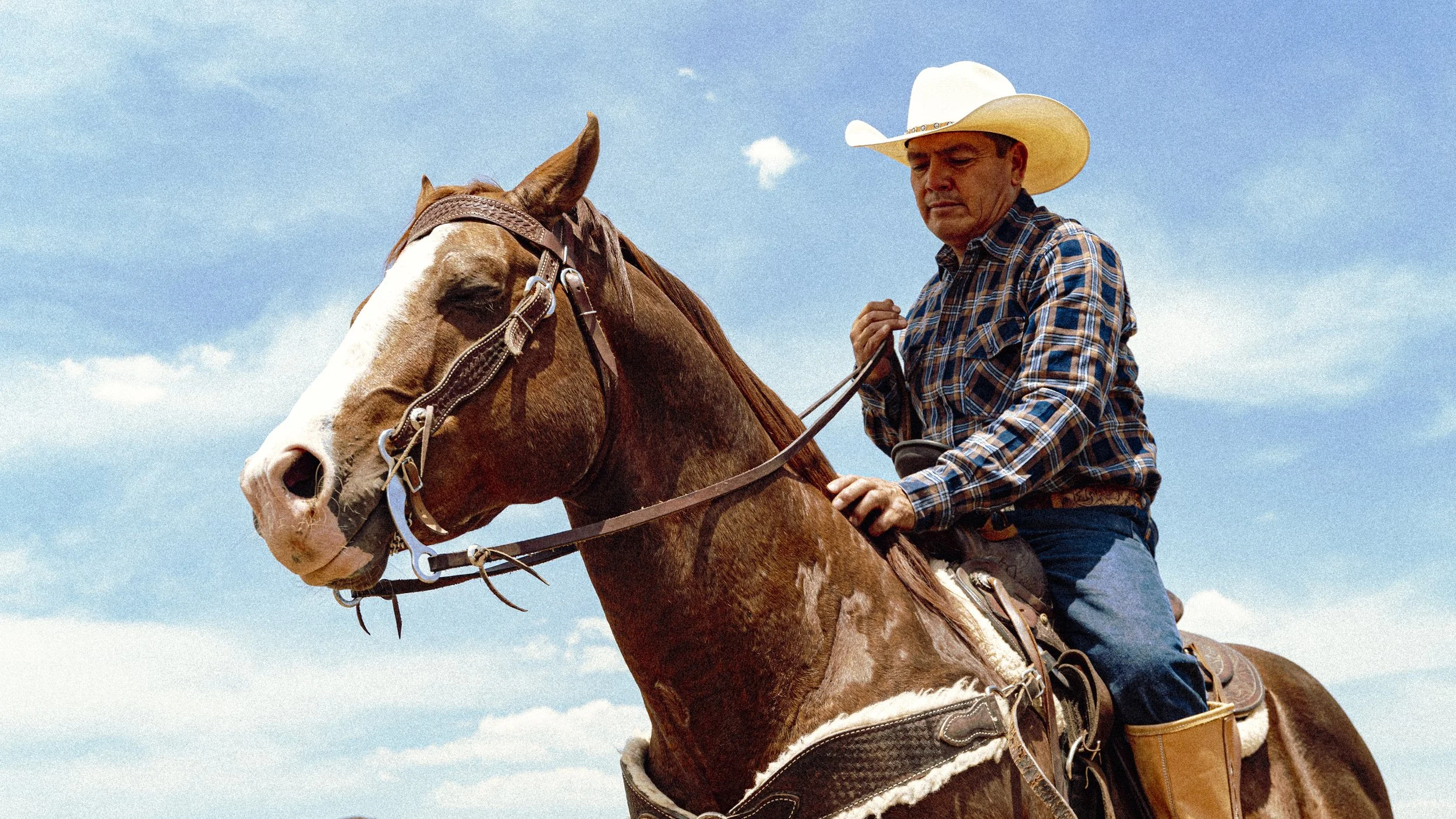 BL_MAYO_CABALLOS-35.jpg