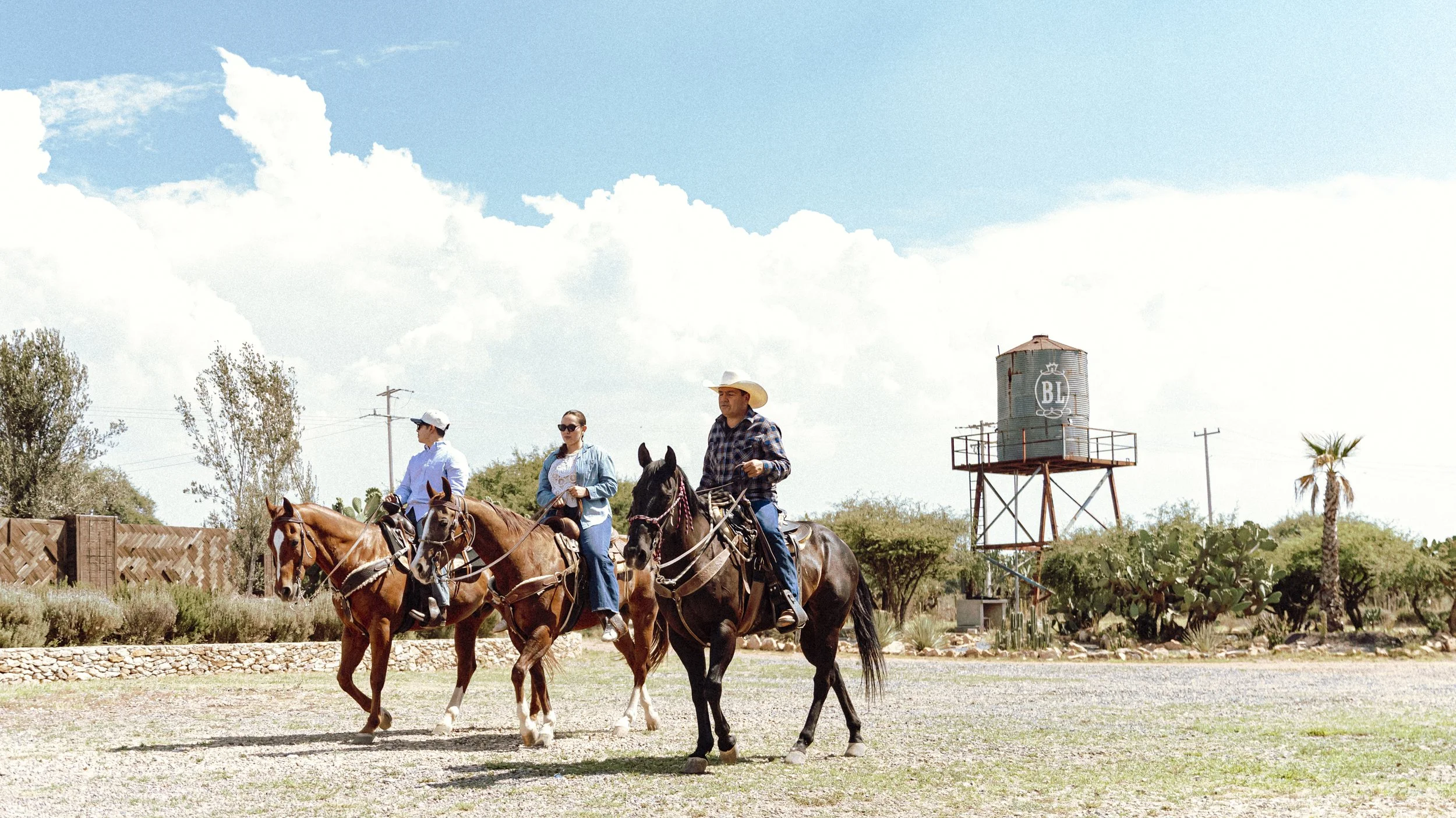 BL_MAYO_RESERVACIONES-46.jpg