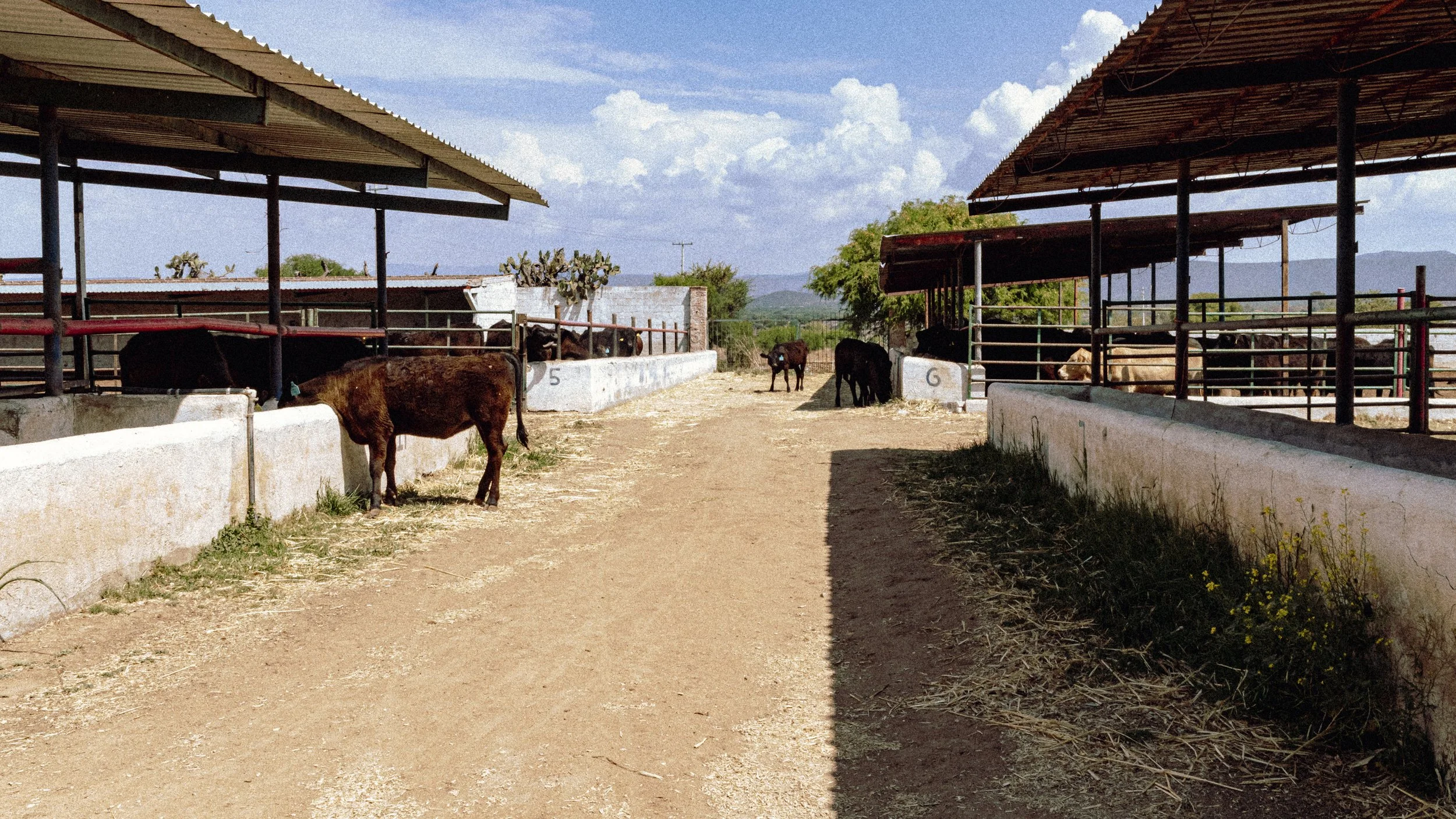 BL_MARZO_RECONOCIMIENTO-41.jpg