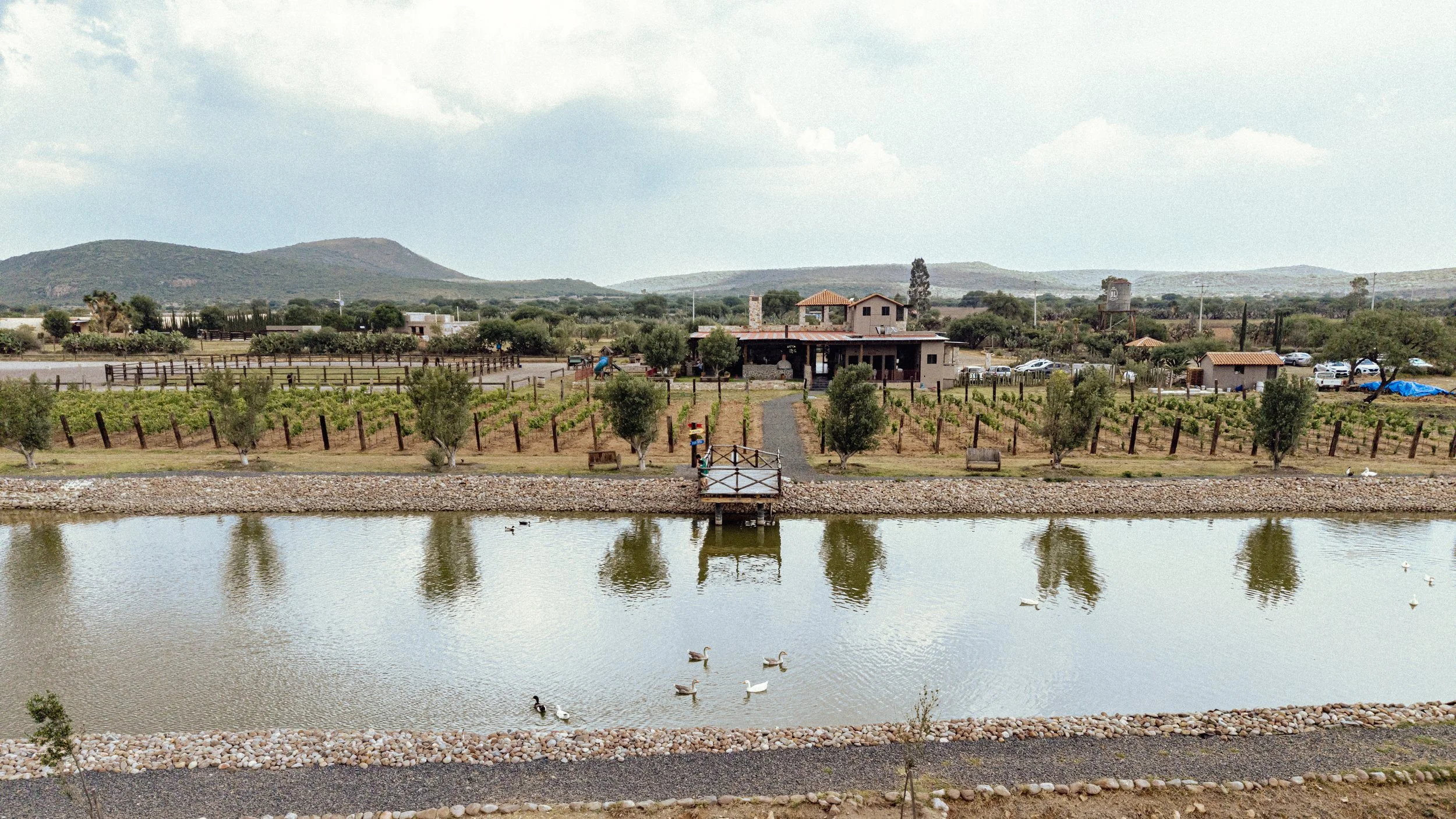 BL_MAYO_RESERVACIONES-154.jpg
