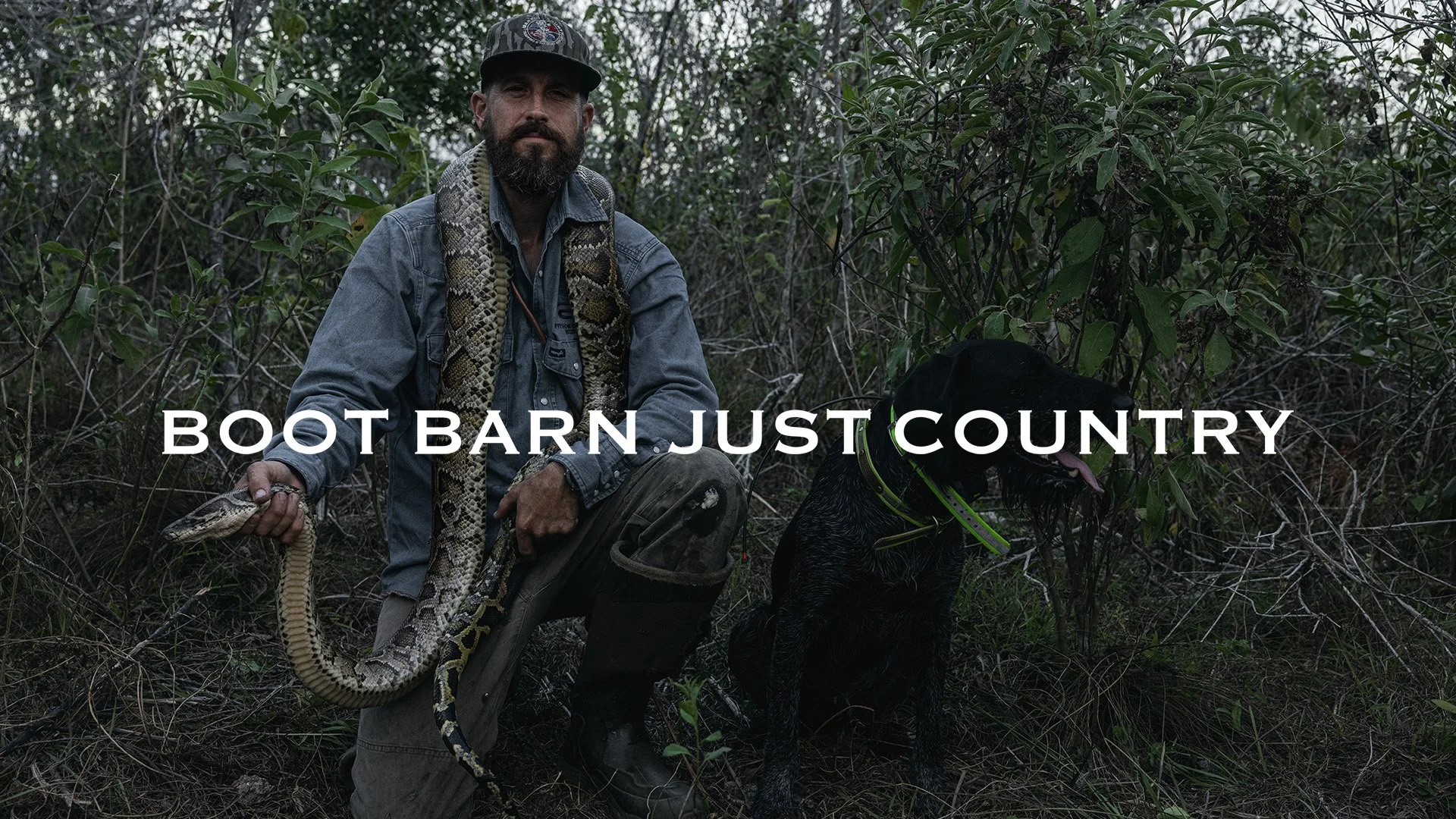 BOOT BARN || PYTHON COWBOY