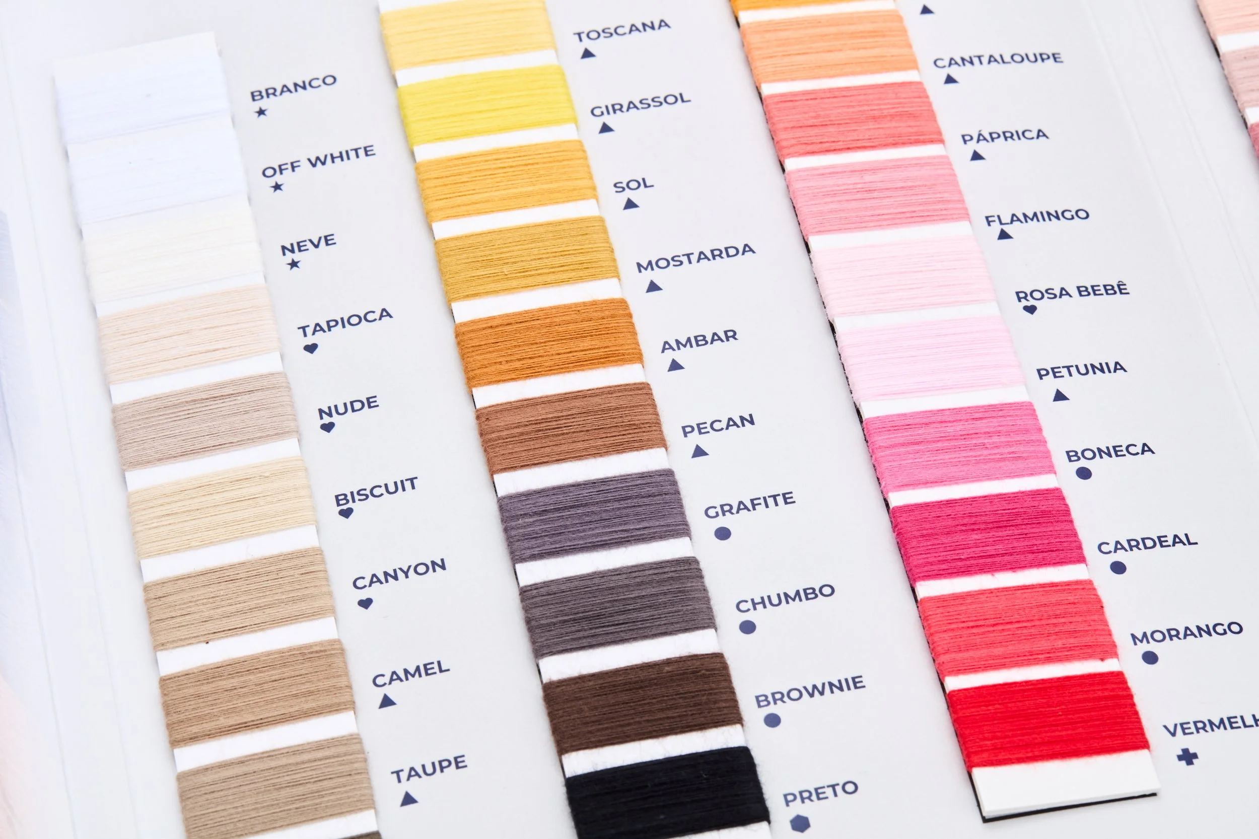 Mostruário de linhas de bordado coloridas organizadas em colunas, com nomes dos tons escritos ao lado de cada amostra, incluindo cores como branco, off white, neve, areia, canela, cinza, grafite, preto, rosa, vermelho, entre outras.
