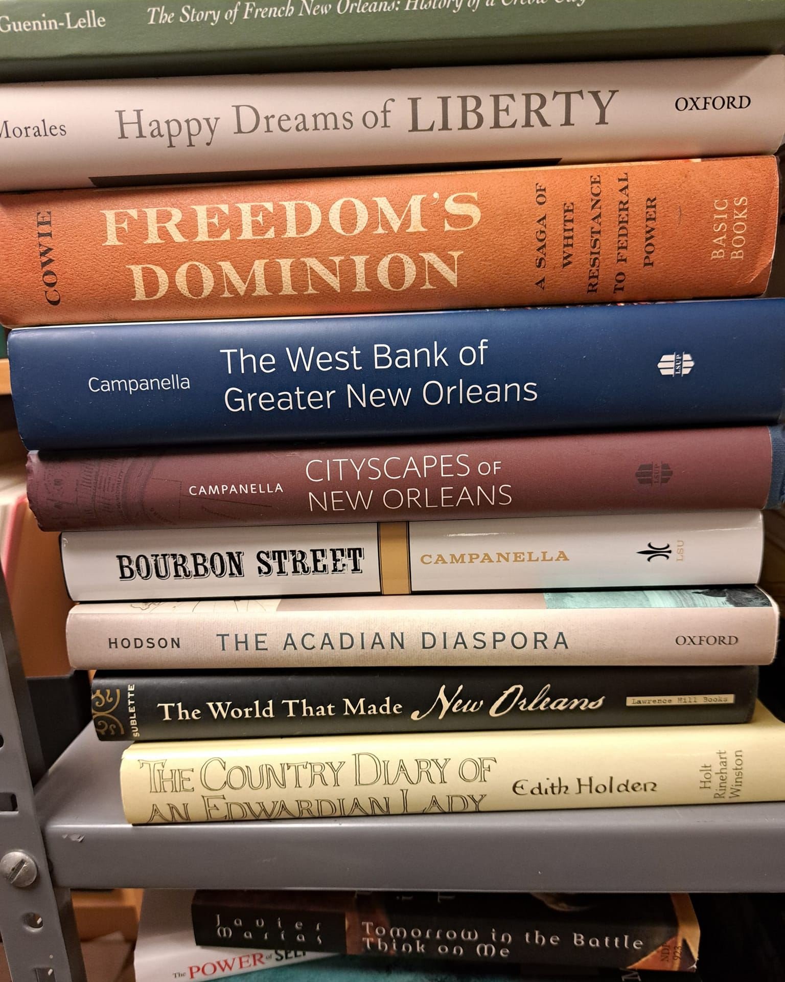 Stack of books on a shelf, including titles such as 'Happy Dreams of Liberty,' 'Freedom's Dominion,' 'The West Bank of Greater New Orleans,' and 'The Adadian Diaspora.'
