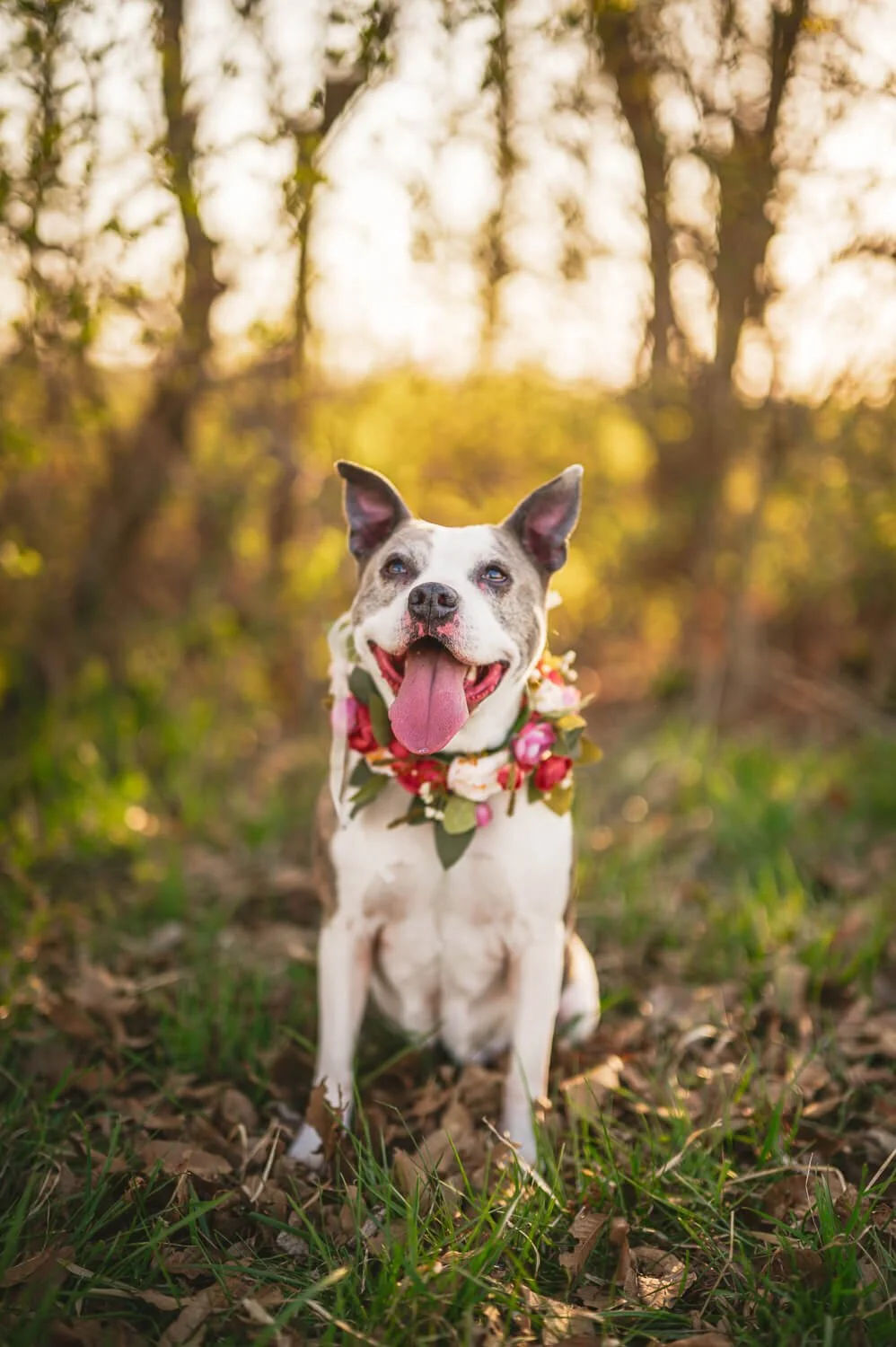 brianne and loren southern illinois engagement session-2.jpg