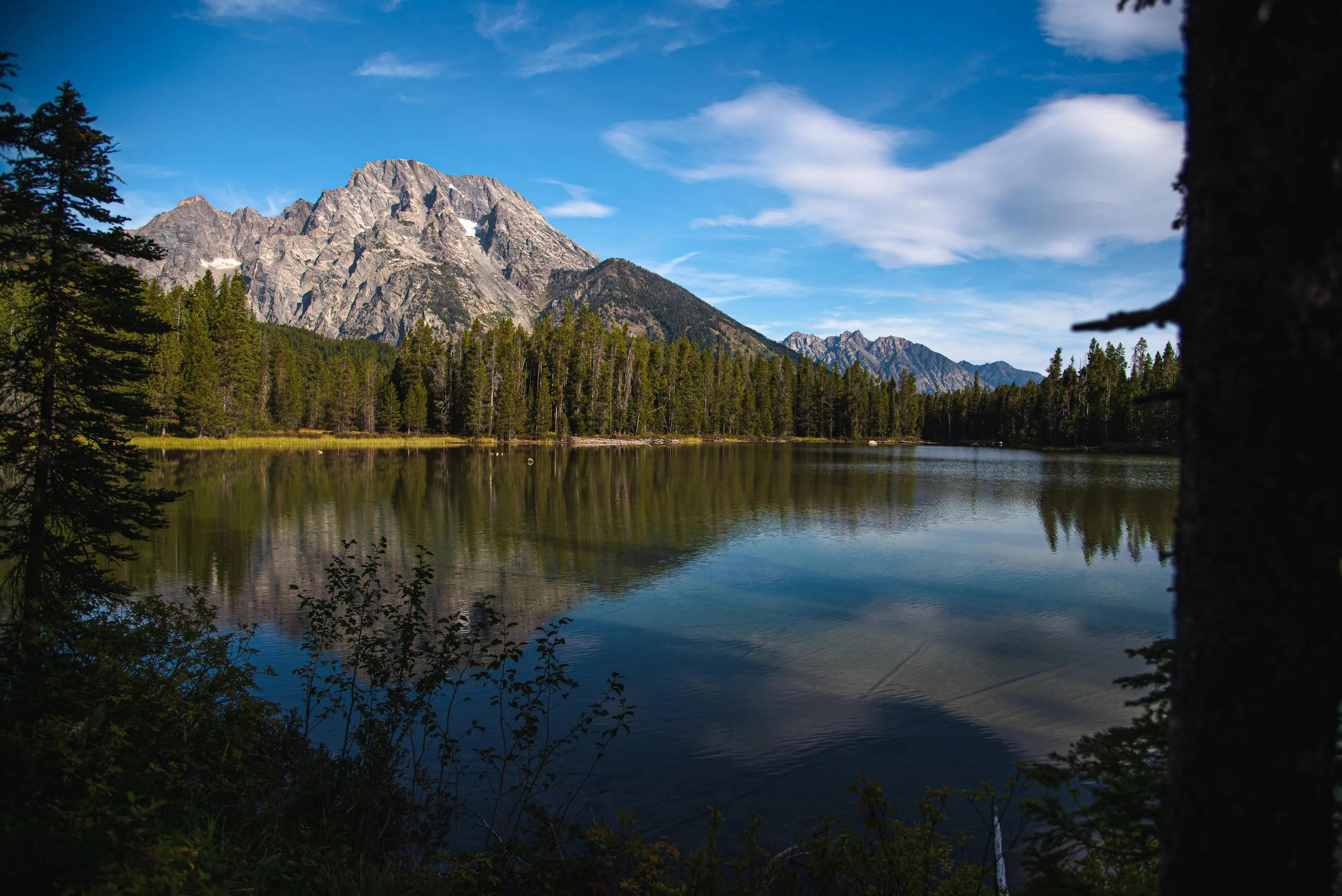 Mount Moran over String Lake