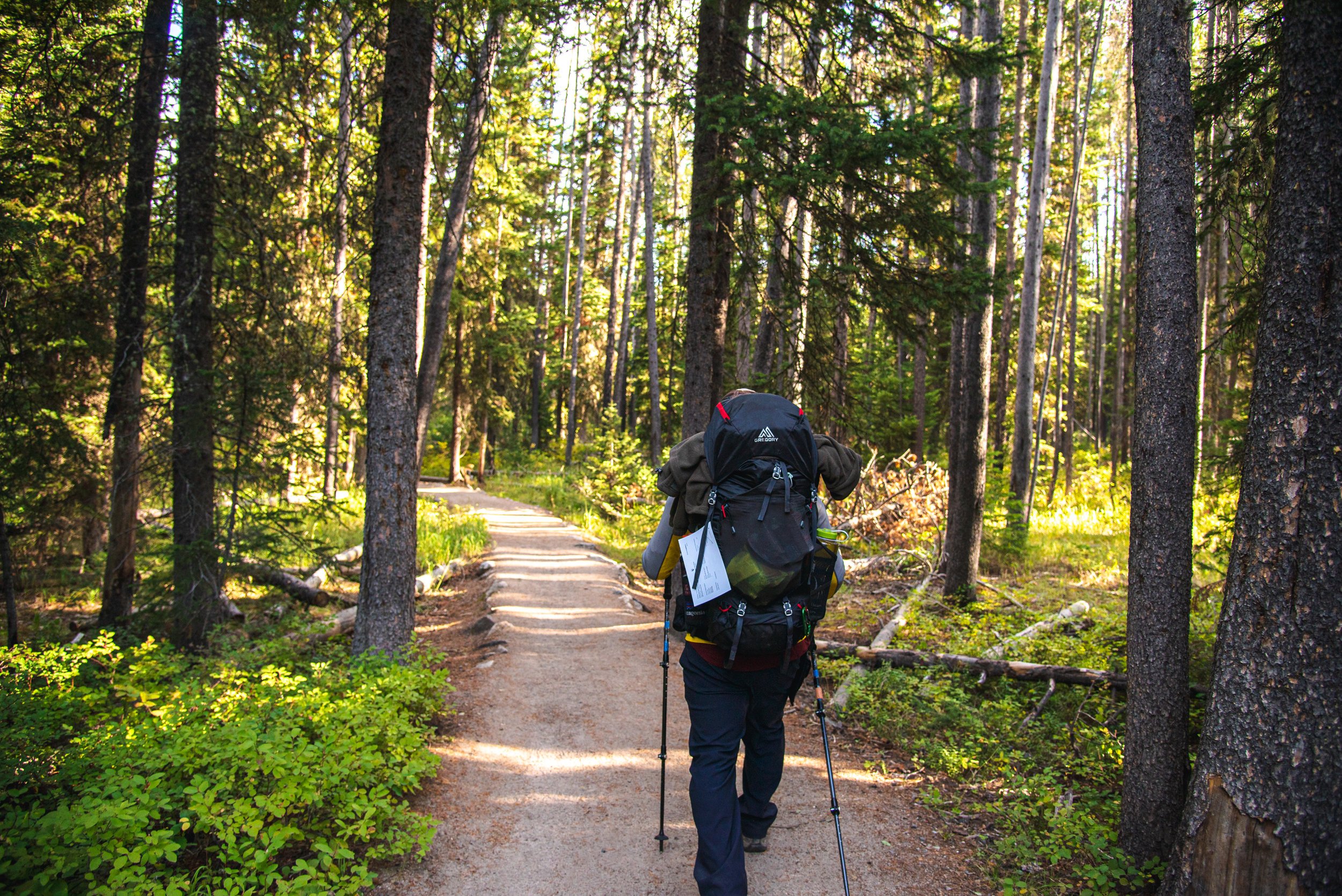 Hiking Around String Lake