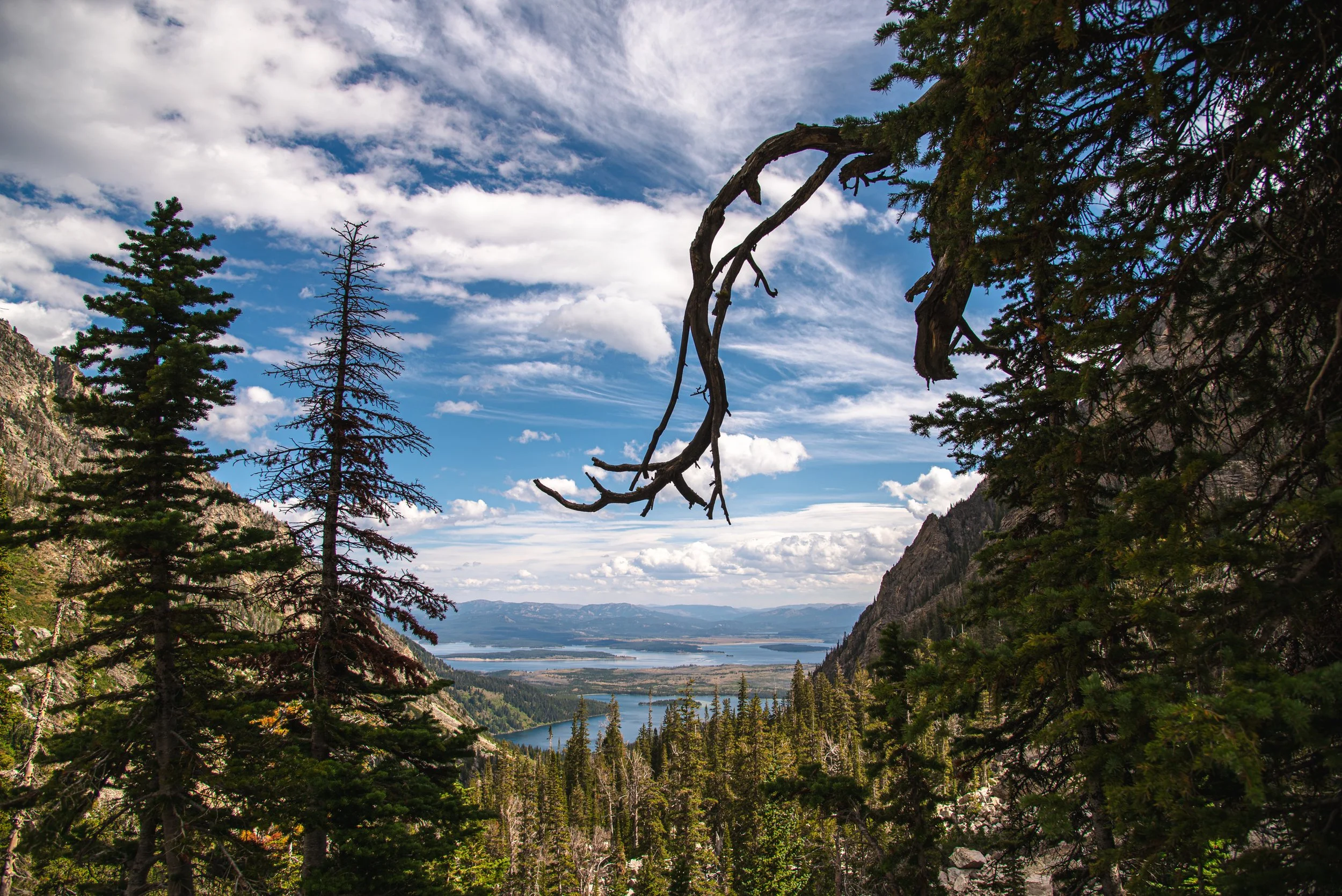 Jackson Lake from Lower Paintbrush