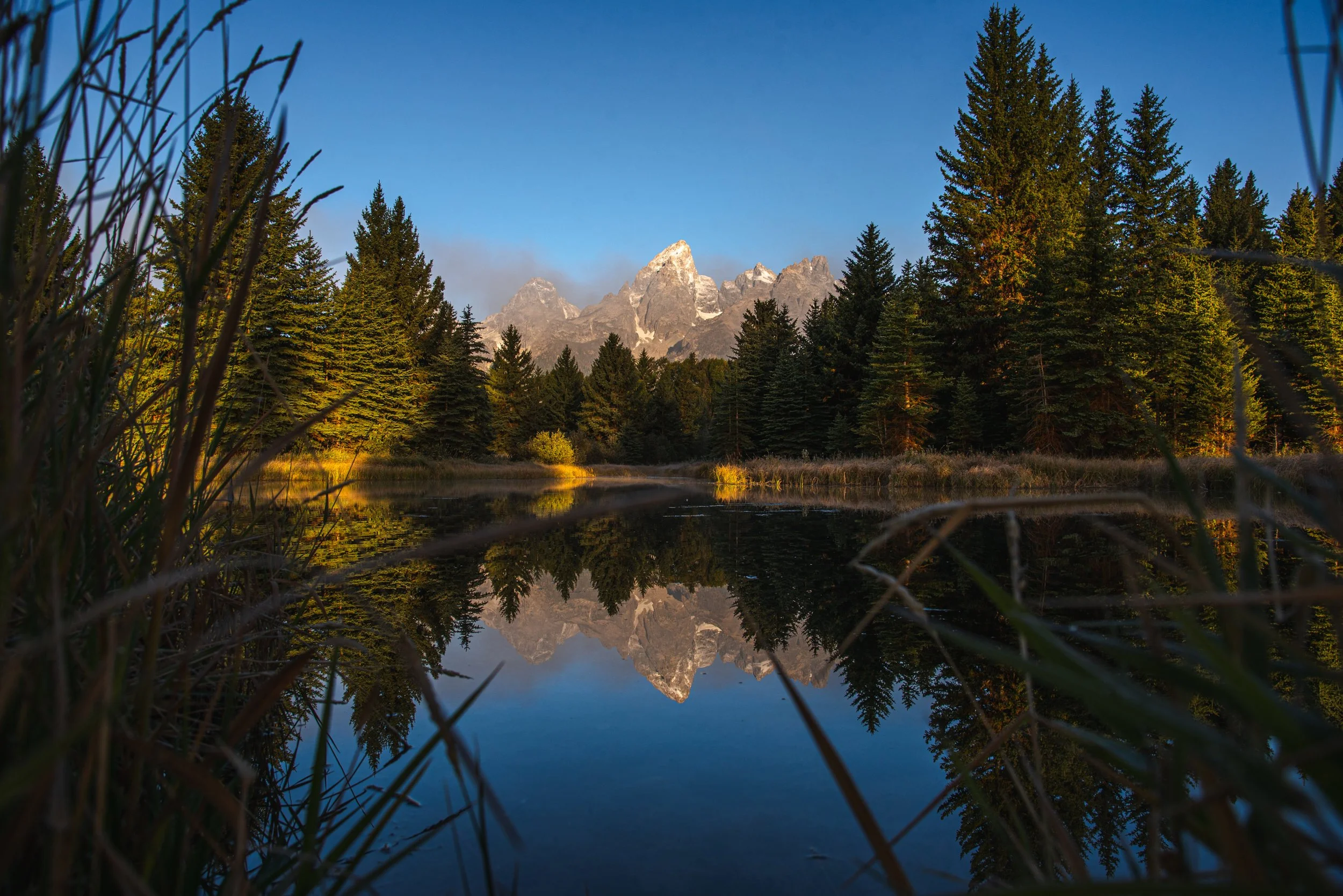 Schwabacher's Landing