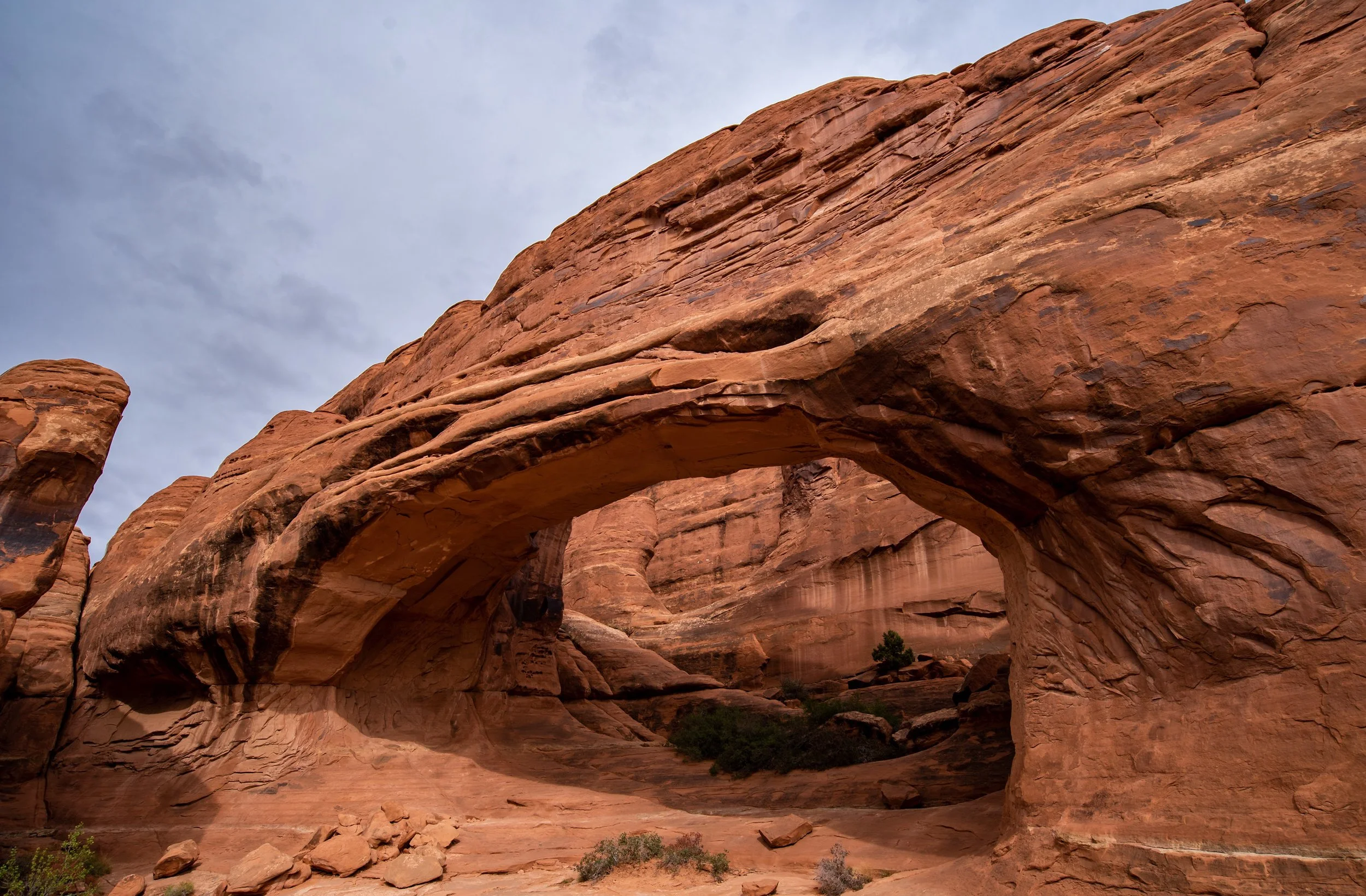 Tower Arch