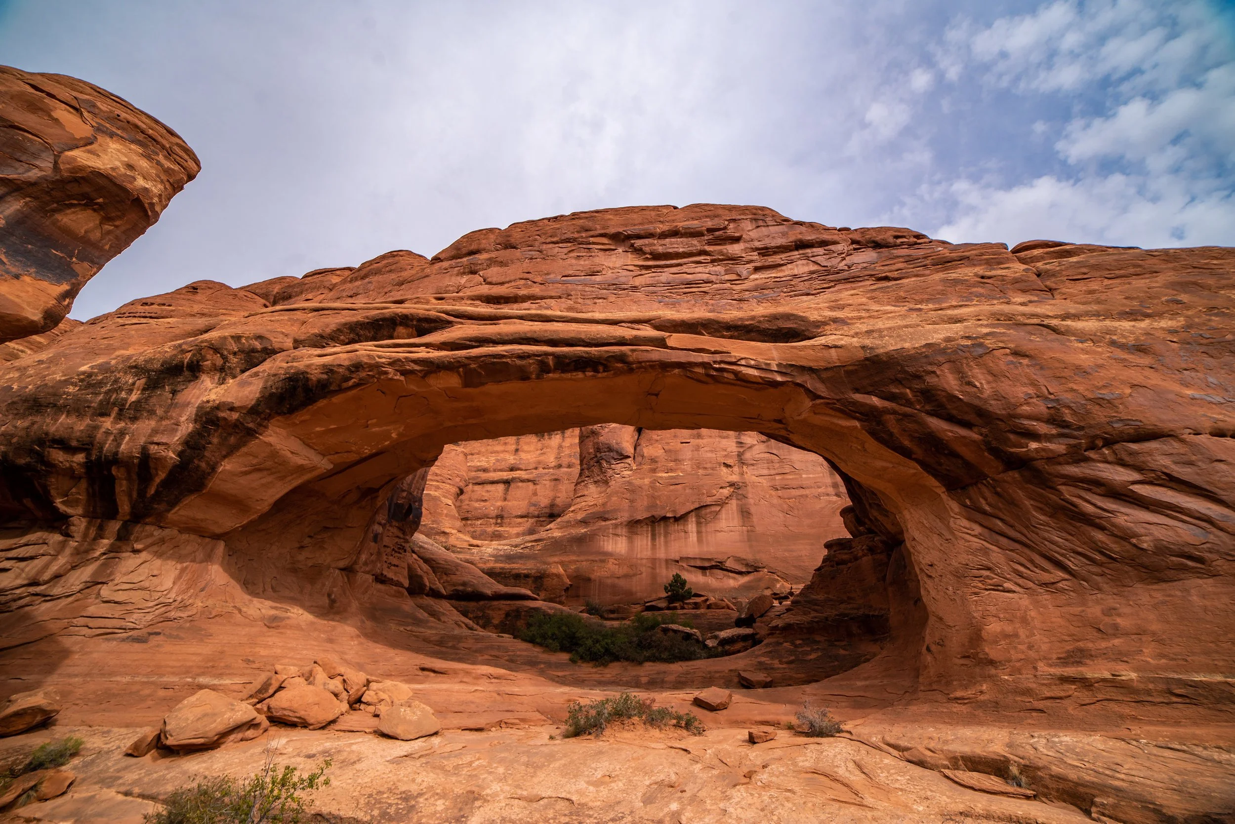 Tower Arch