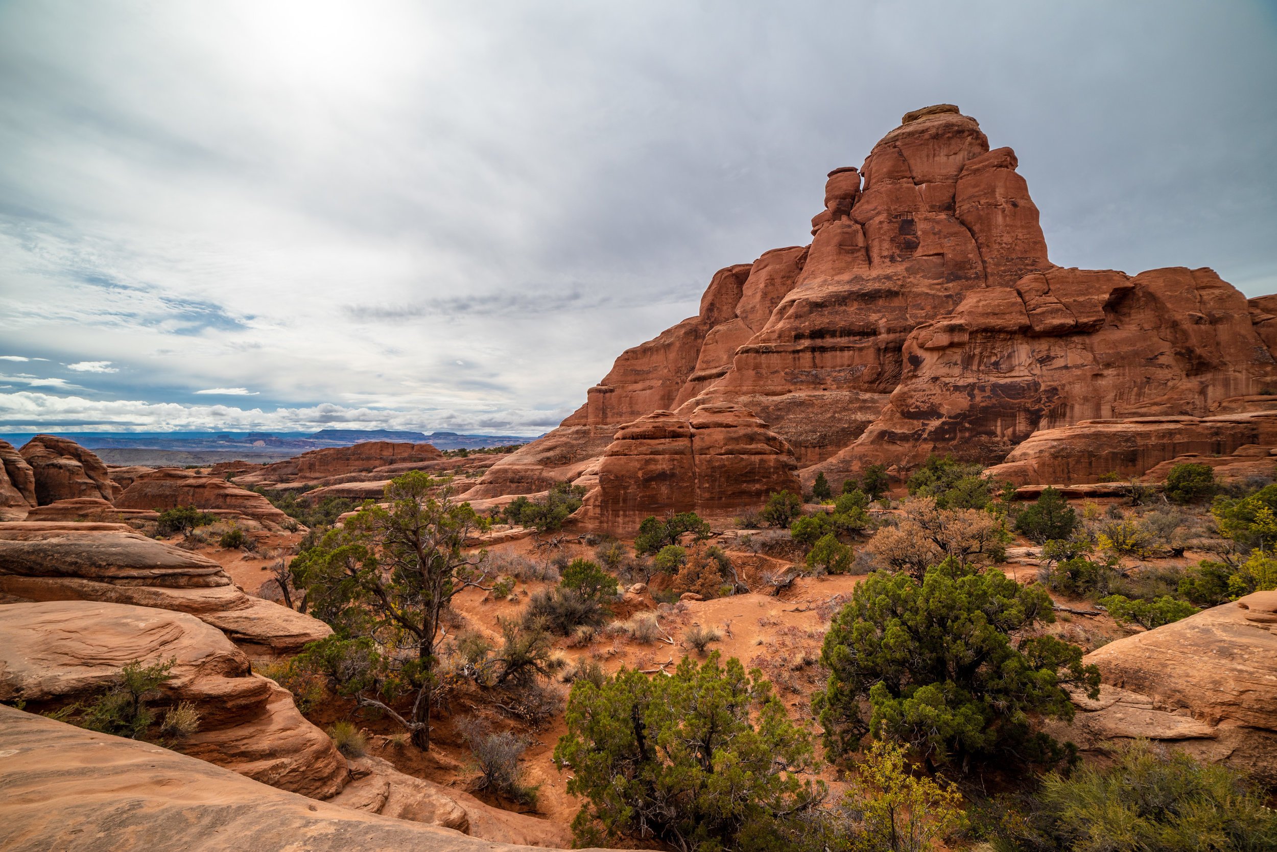 The Navajo Sandstone