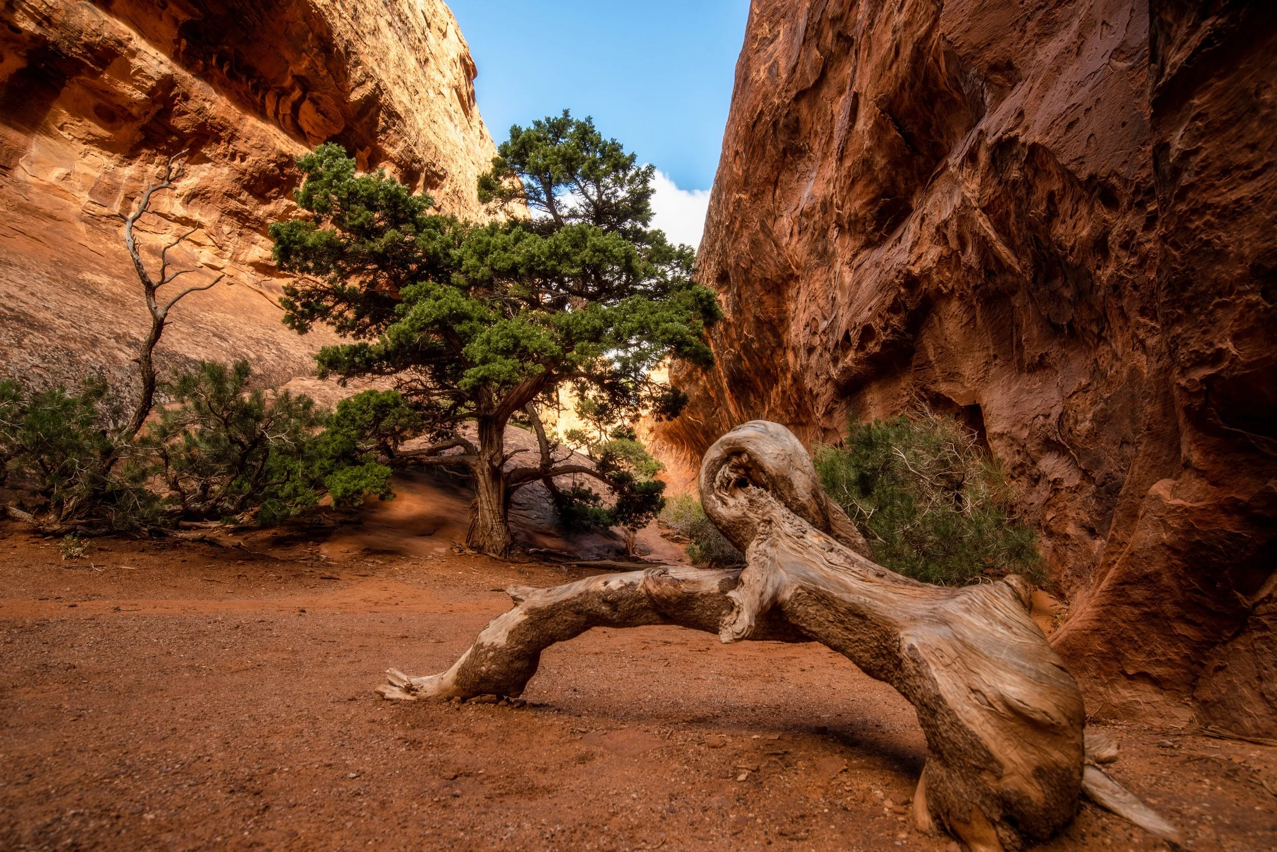 Quiet Behind Navajo Arch