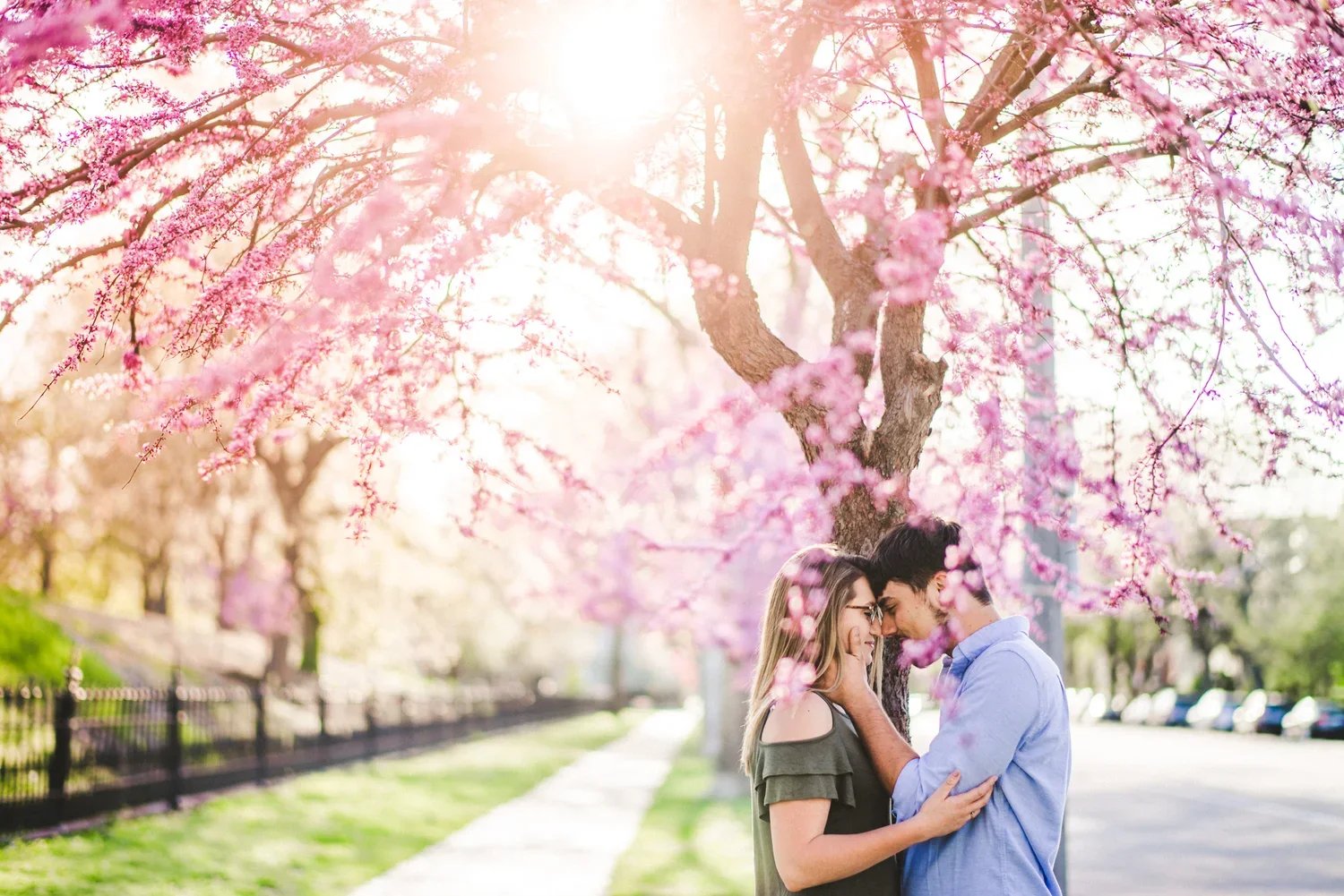 Couple posing beneath blooming trees with pink flowers during an outdoor engagement photoshoot.