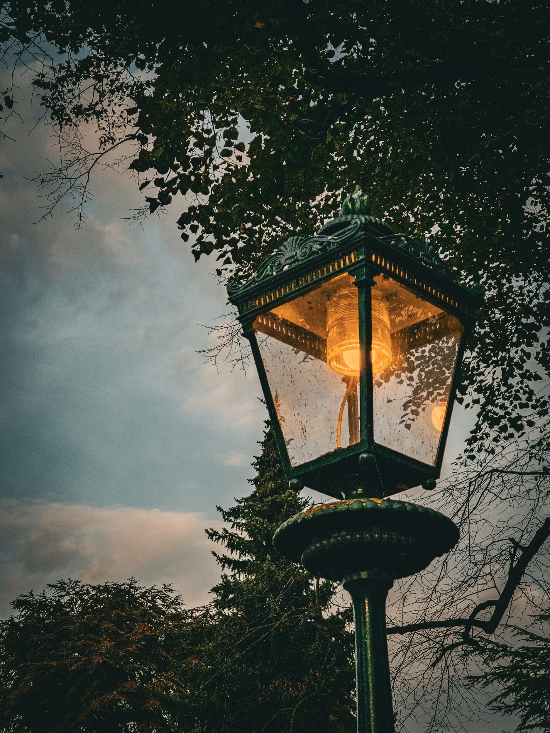 A vintage street lamp with a glowing light, set against a dark sky and surrounded by trees with sparse leaves.