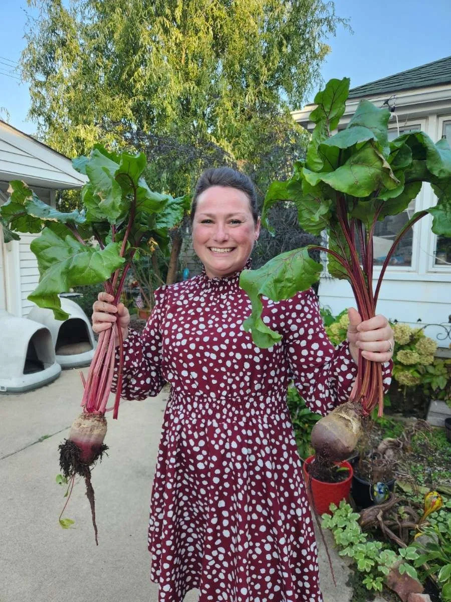 A cheerful woman in a maroon and white patterned dress holding two large beets with green leaves outdoors in a garden. Beautiful woman, hot lady, big beets and boobs