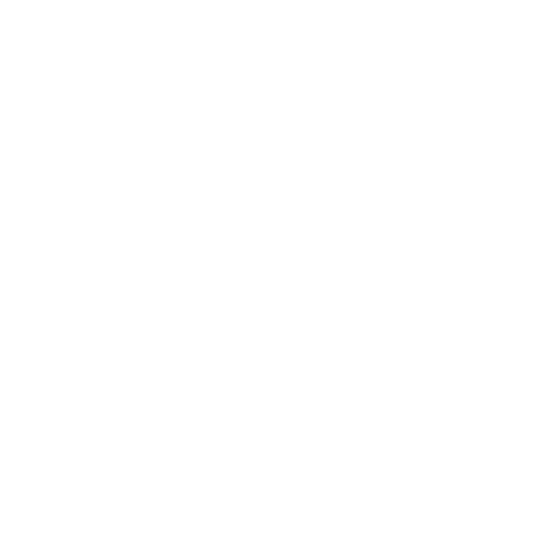 Rivington Holdings, LLC
