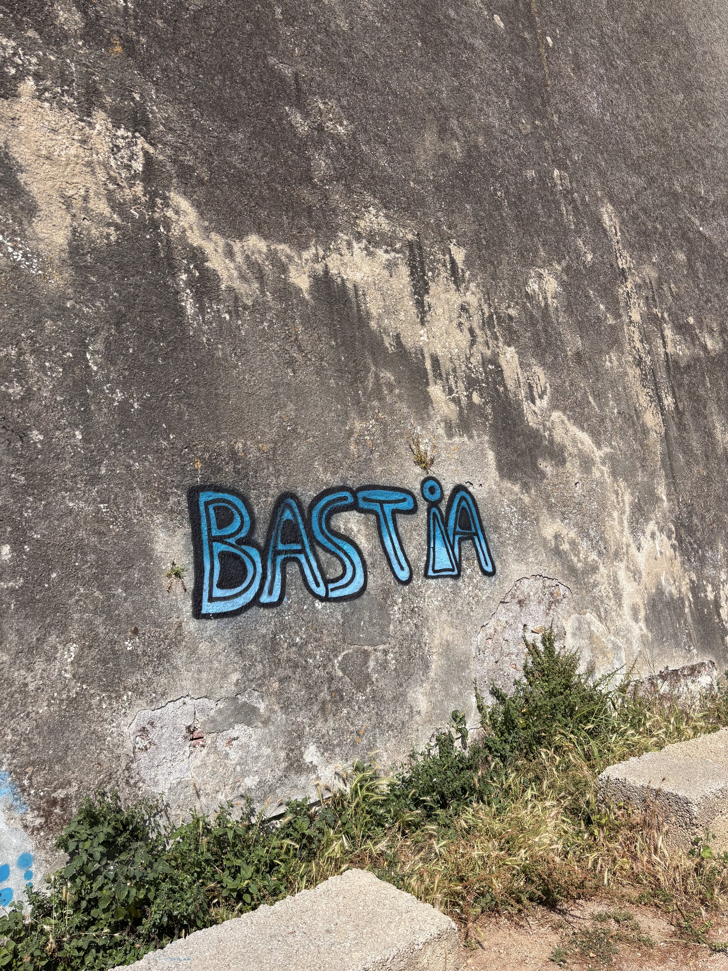 IMG_7117.jpeg