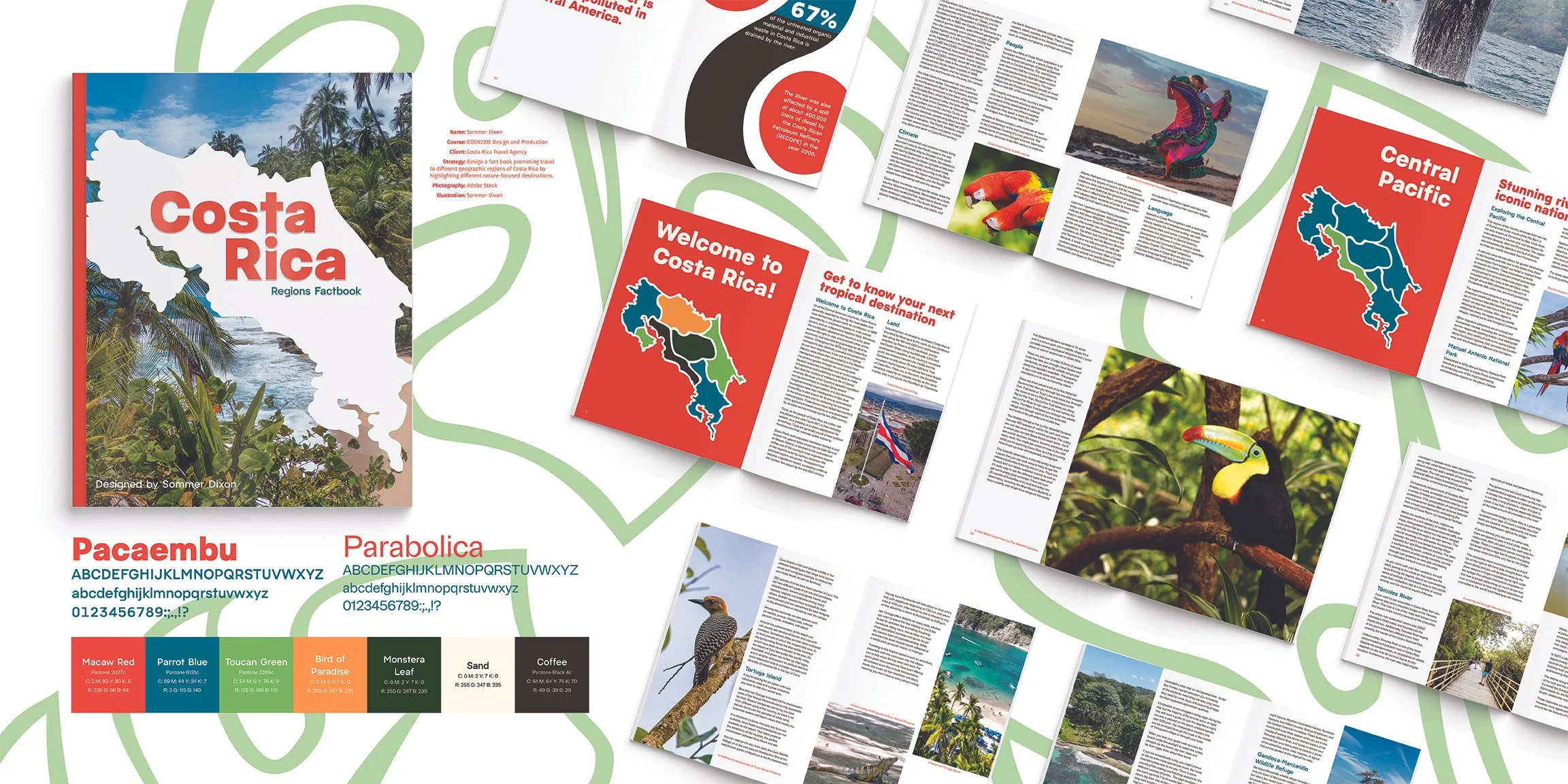 costa rica presentation board.jpg
