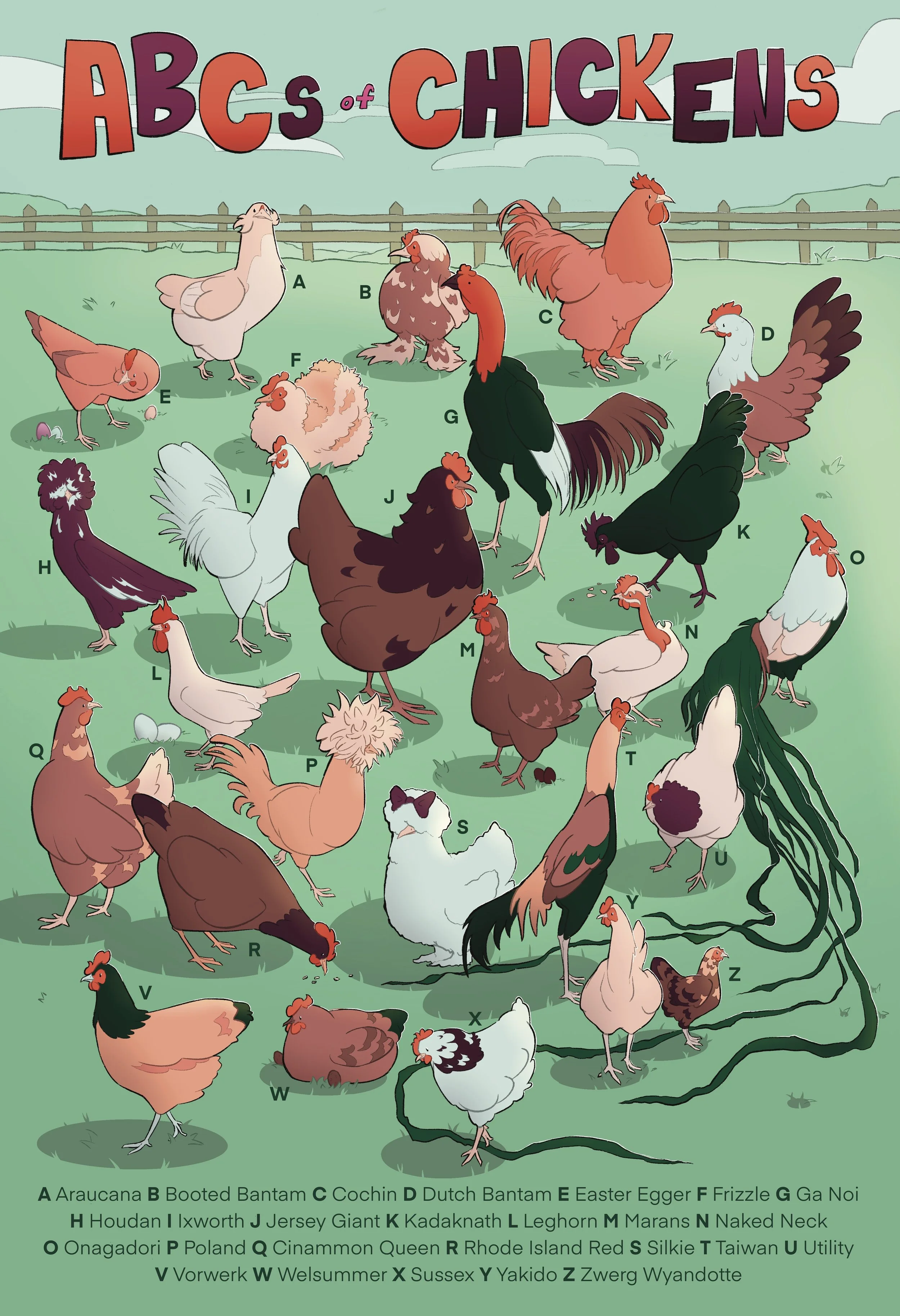An alphabet poster of different chicken breeds.