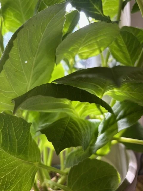 Small Steps Create Big Shifts 