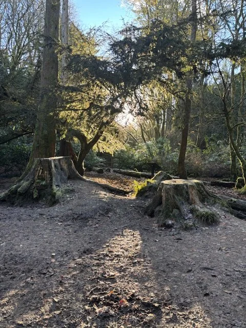 Turn Intention Into Action